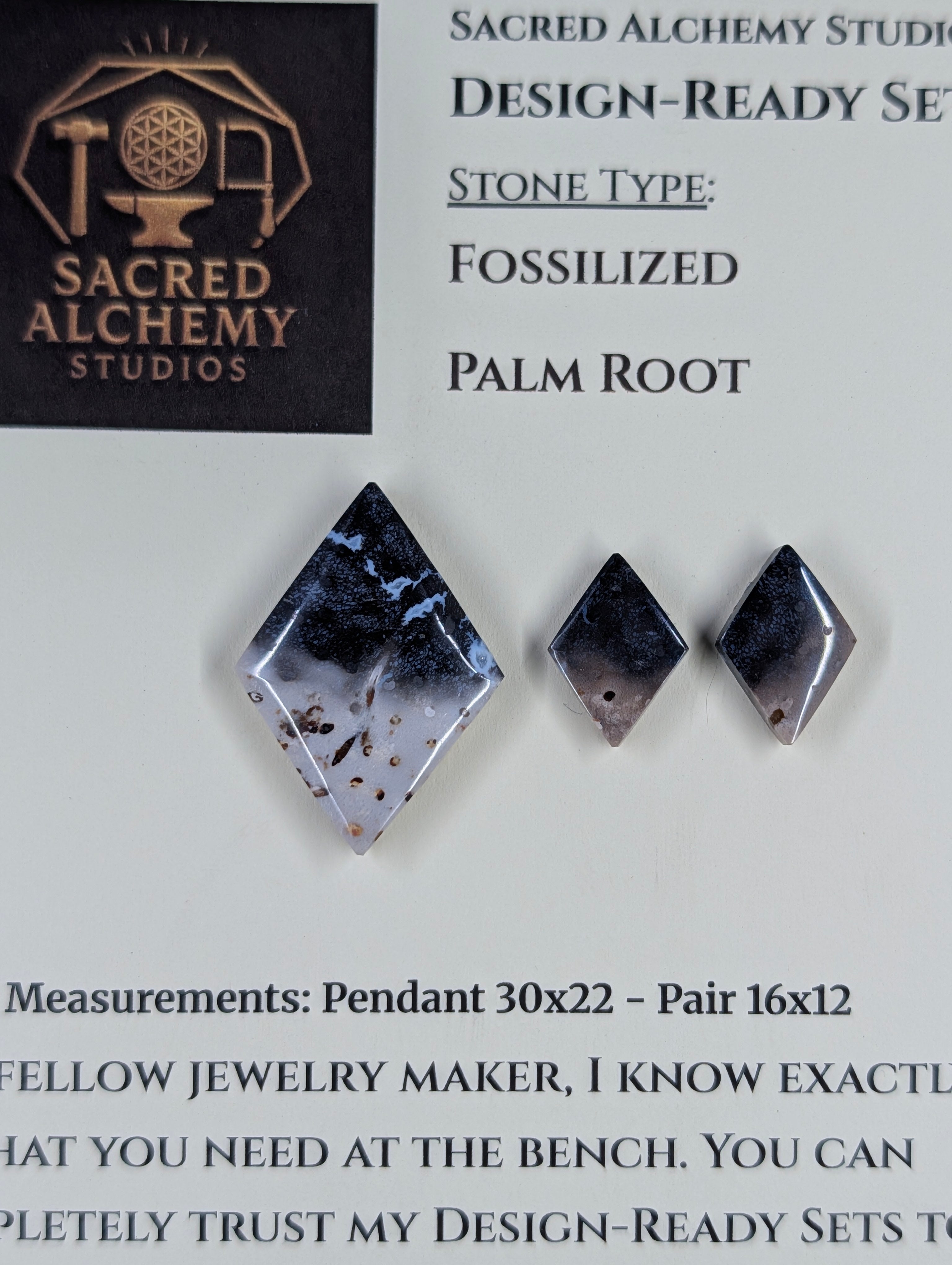 Rhombus Shape - Fossilized Palm Root - Design-Ready Set