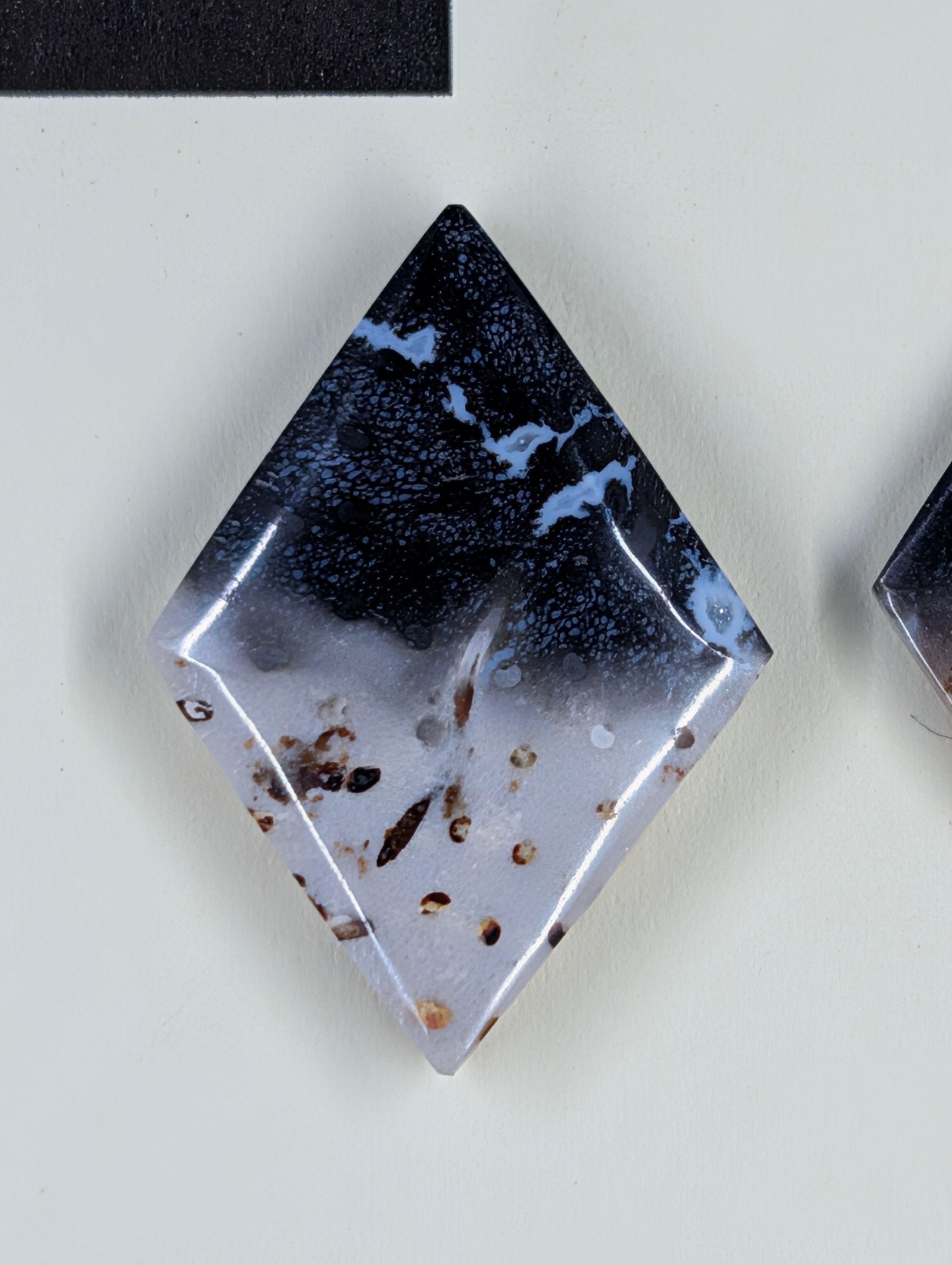 Rhombus Shape - Fossilized Palm Root - Design-Ready Set