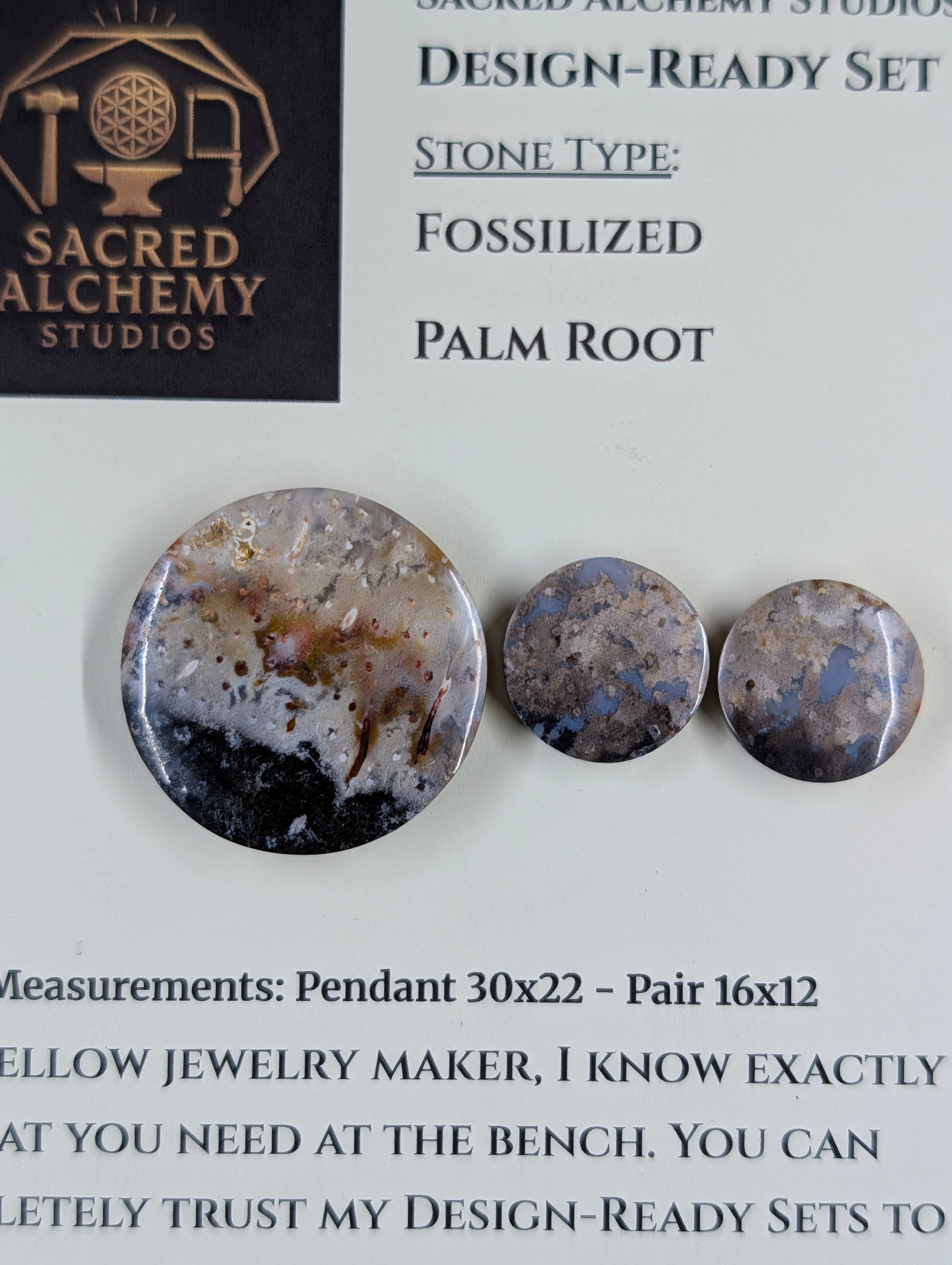 Circle Shape - Fossilized Palm Root - Design-Ready Set