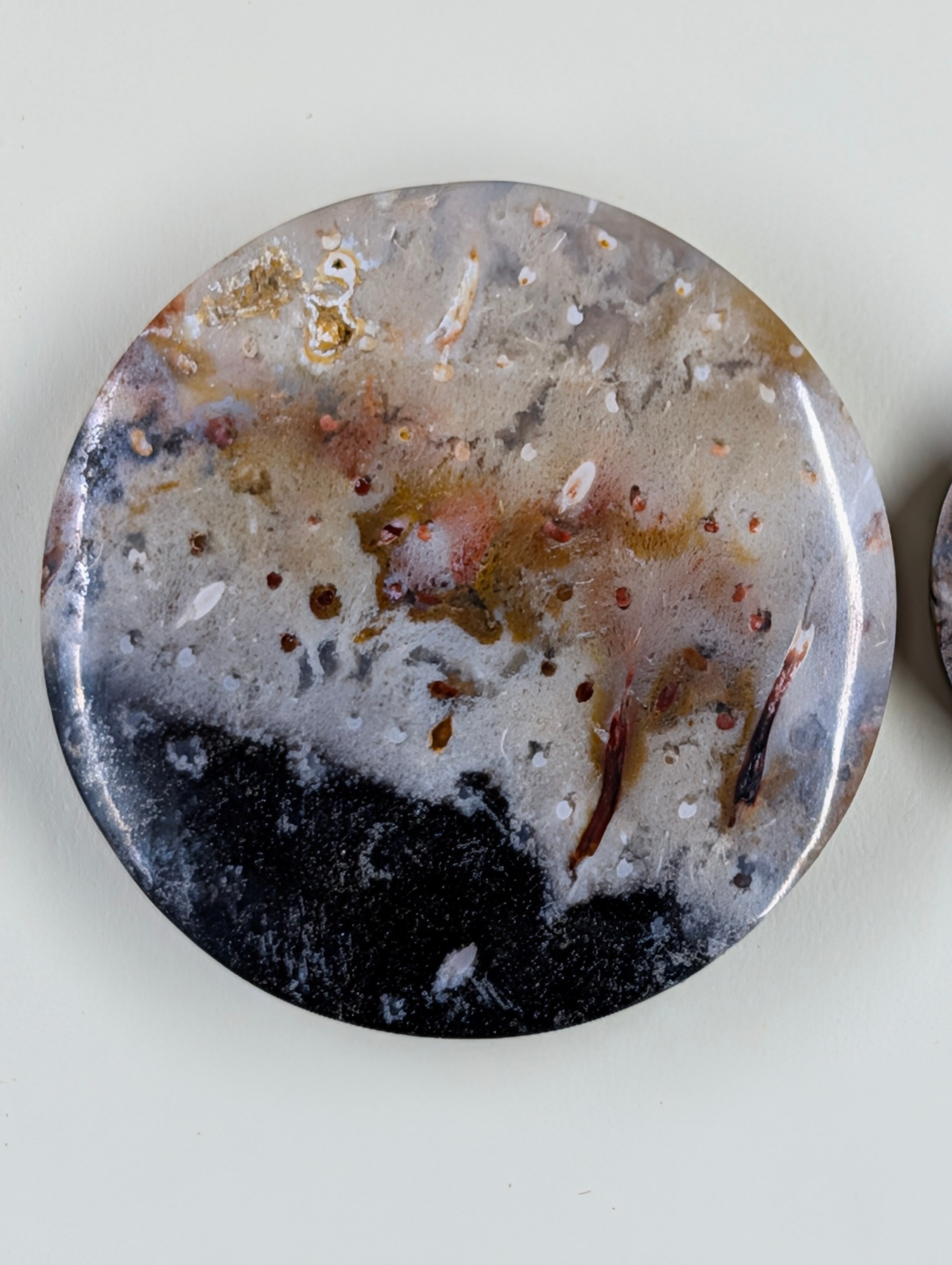 Circle Shape - Fossilized Palm Root - Design-Ready Set