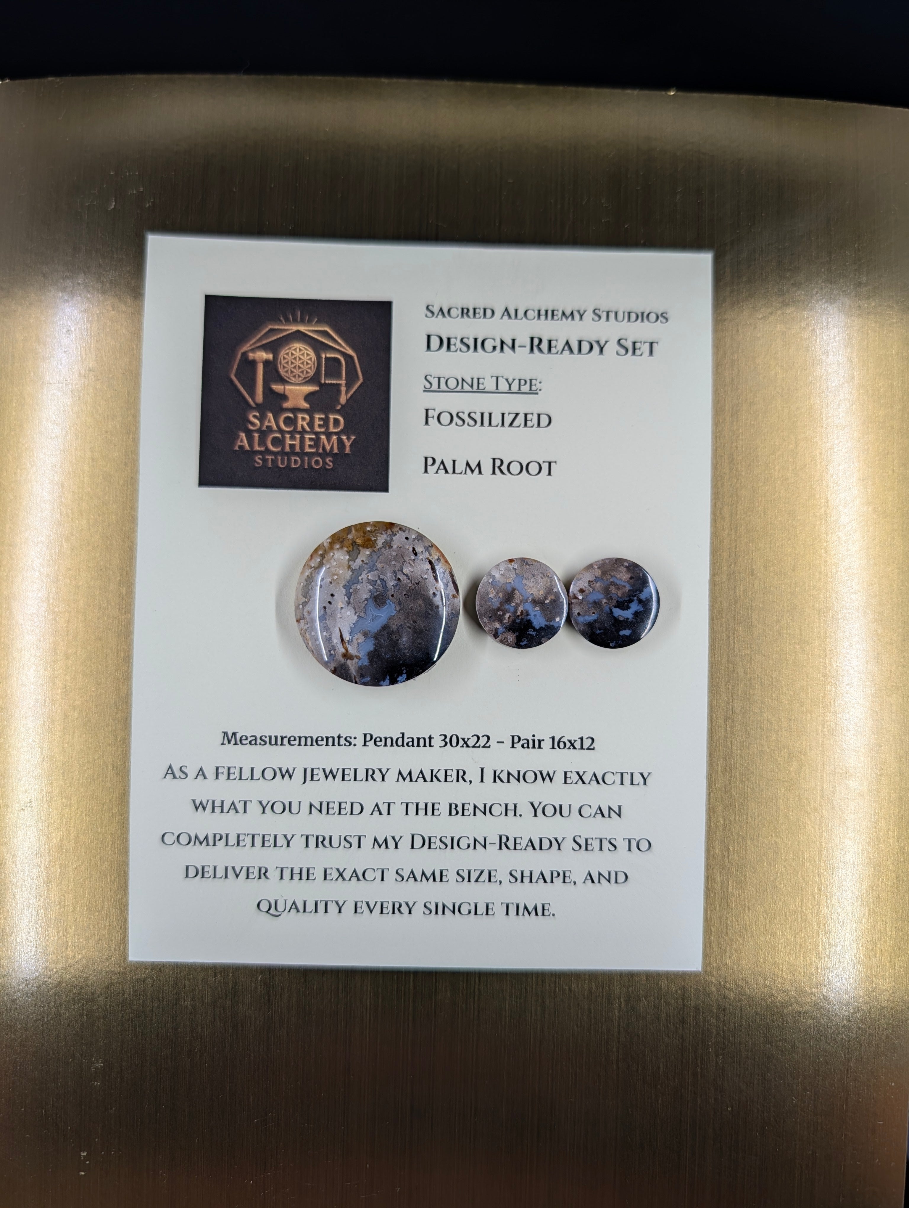 Circle Shape - Fossilized Palm Root - Design-Ready Set