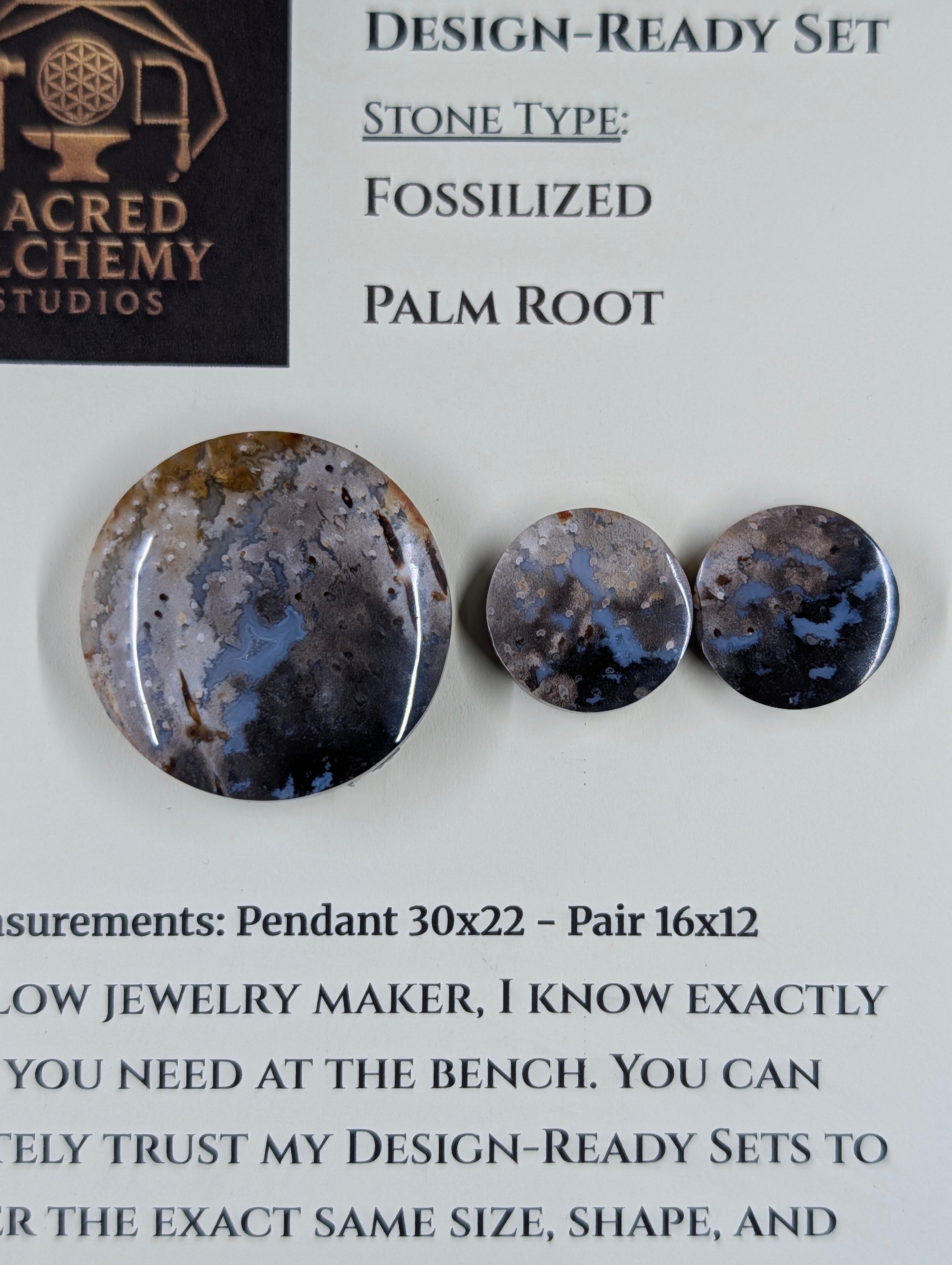 Circle Shape - Fossilized Palm Root - Design-Ready Set