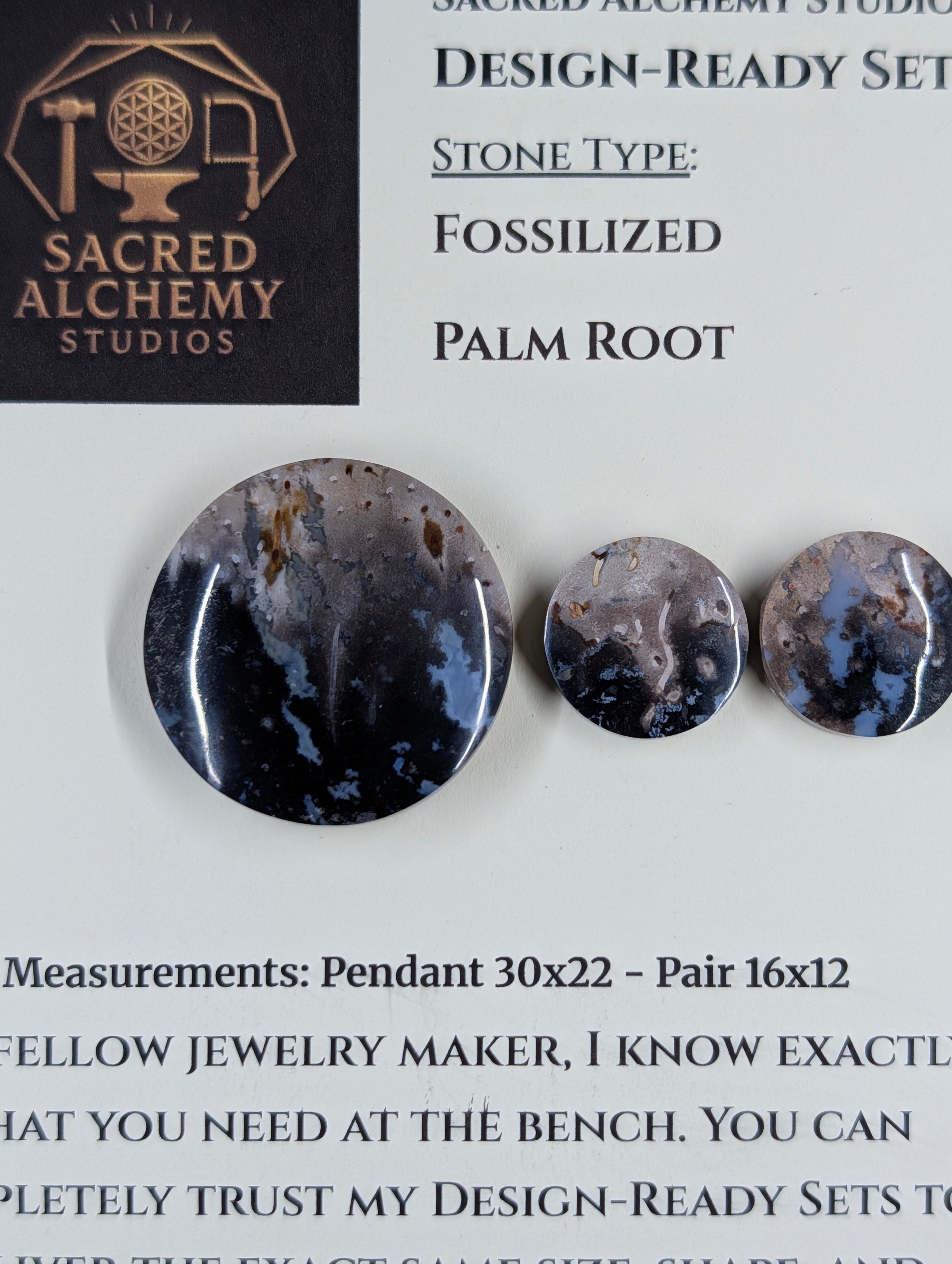 Circle Shape - Fossilized Palm Root - Design-Ready Set