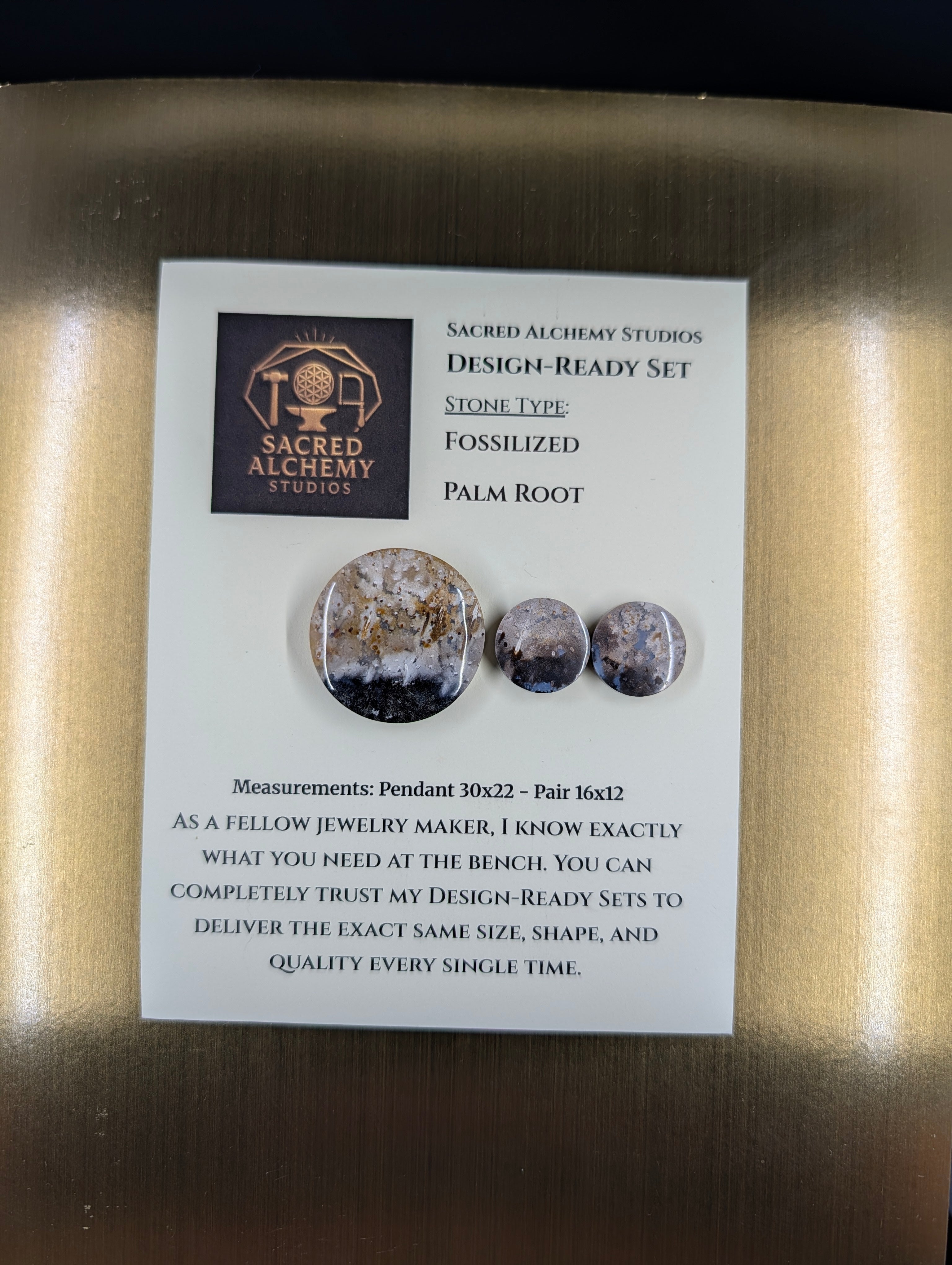 Circle Shape - Fossilized Palm Root - Design-Ready Set