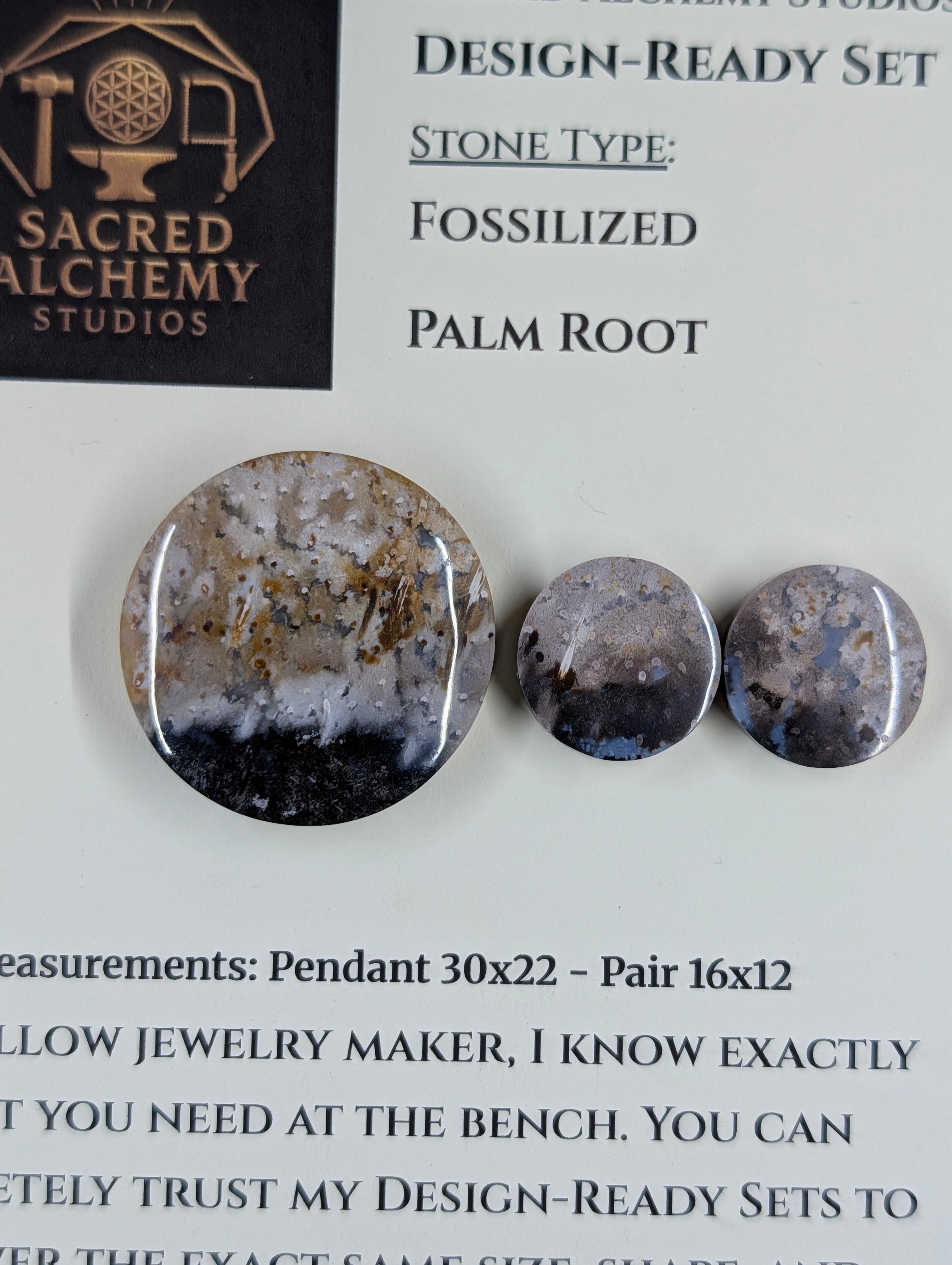 Circle Shape - Fossilized Palm Root - Design-Ready Set