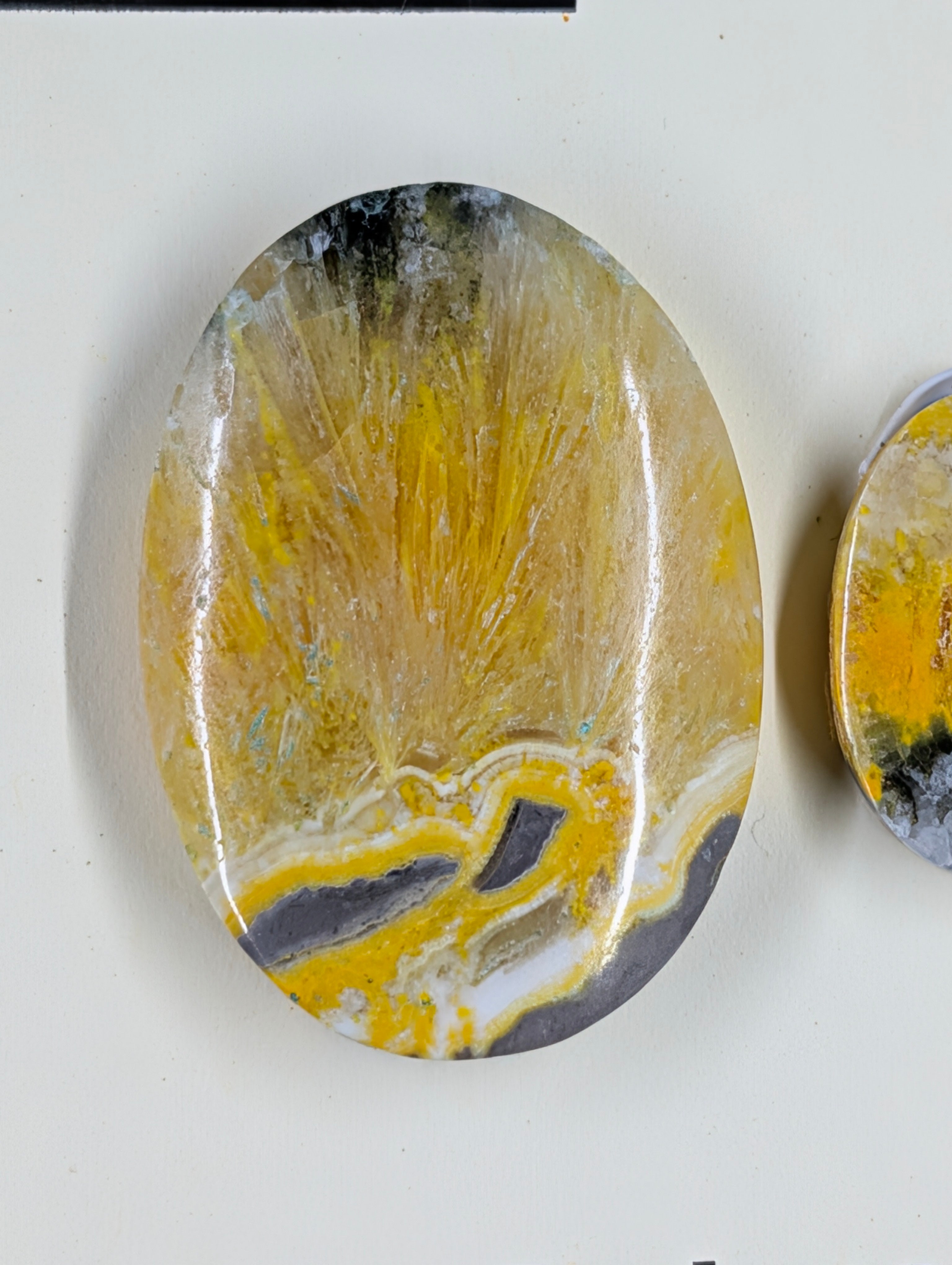 Oval Shape - Bumblebee Jasper - Design-Ready Set