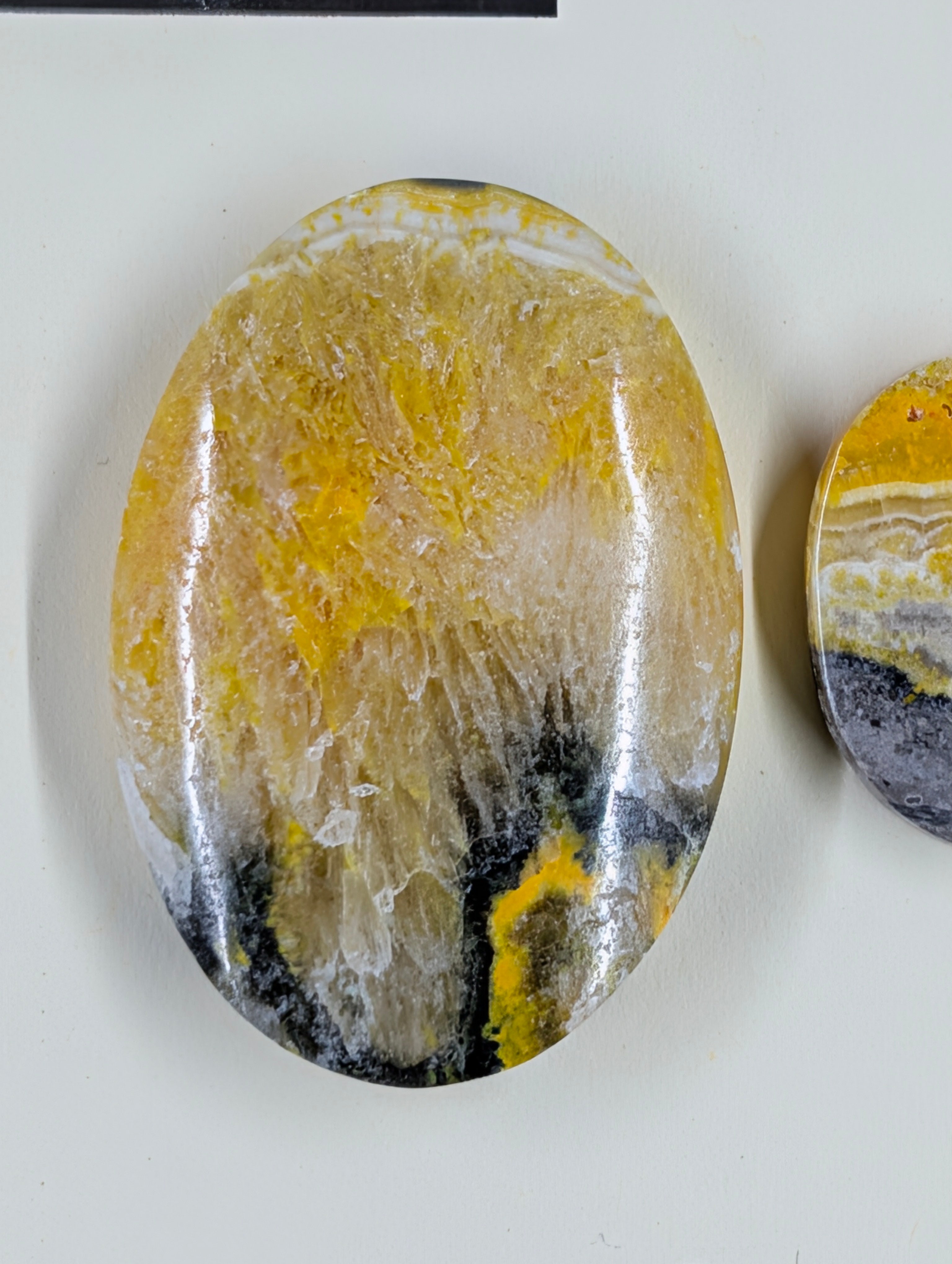 Oval Shape - Bumblebee Jasper - Design-Ready Set