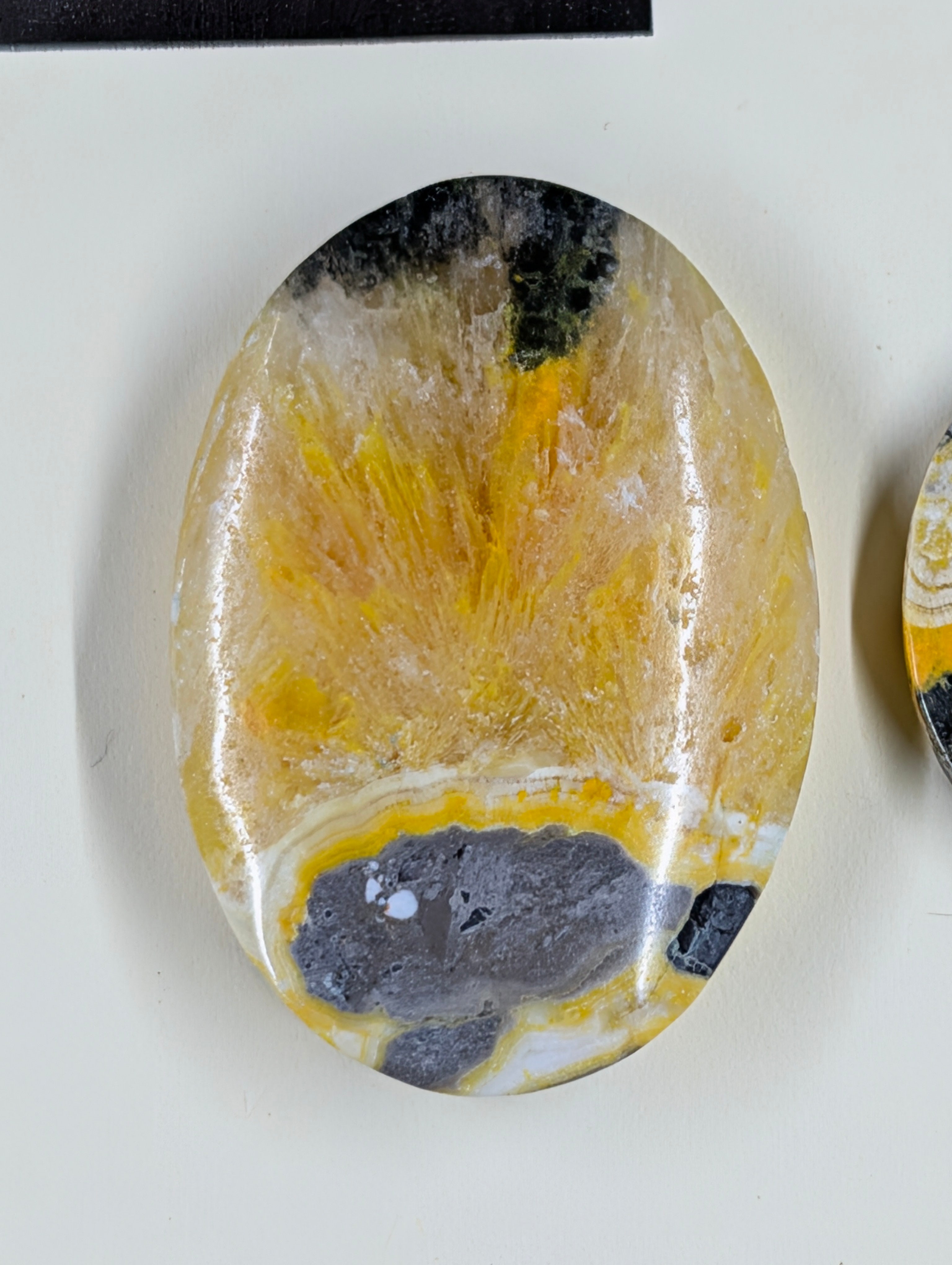 Oval Shape - Bumblebee Jasper - Design-Ready Set