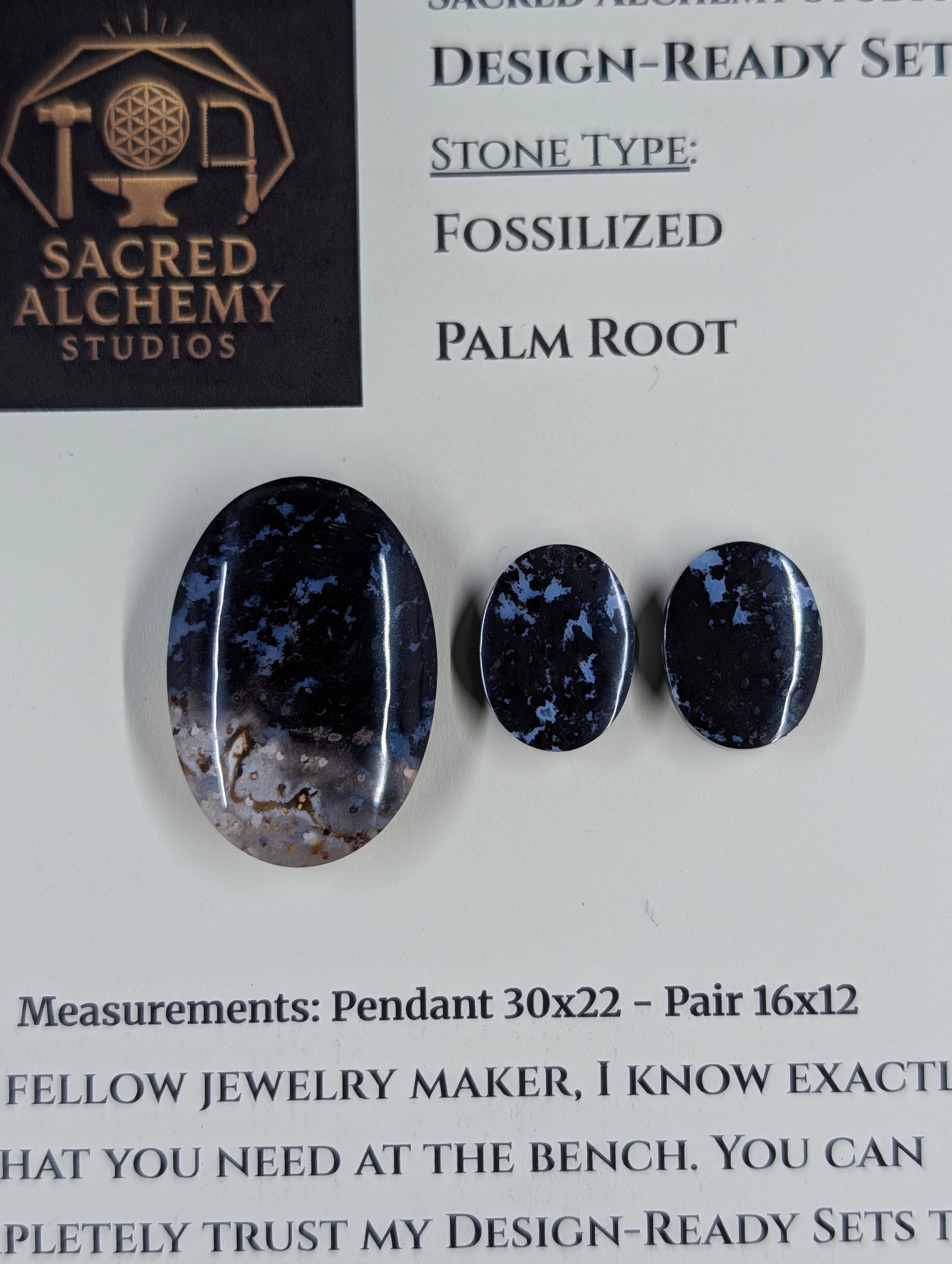 Oval Shape - Fossilized Palm Root - Design-Ready Set