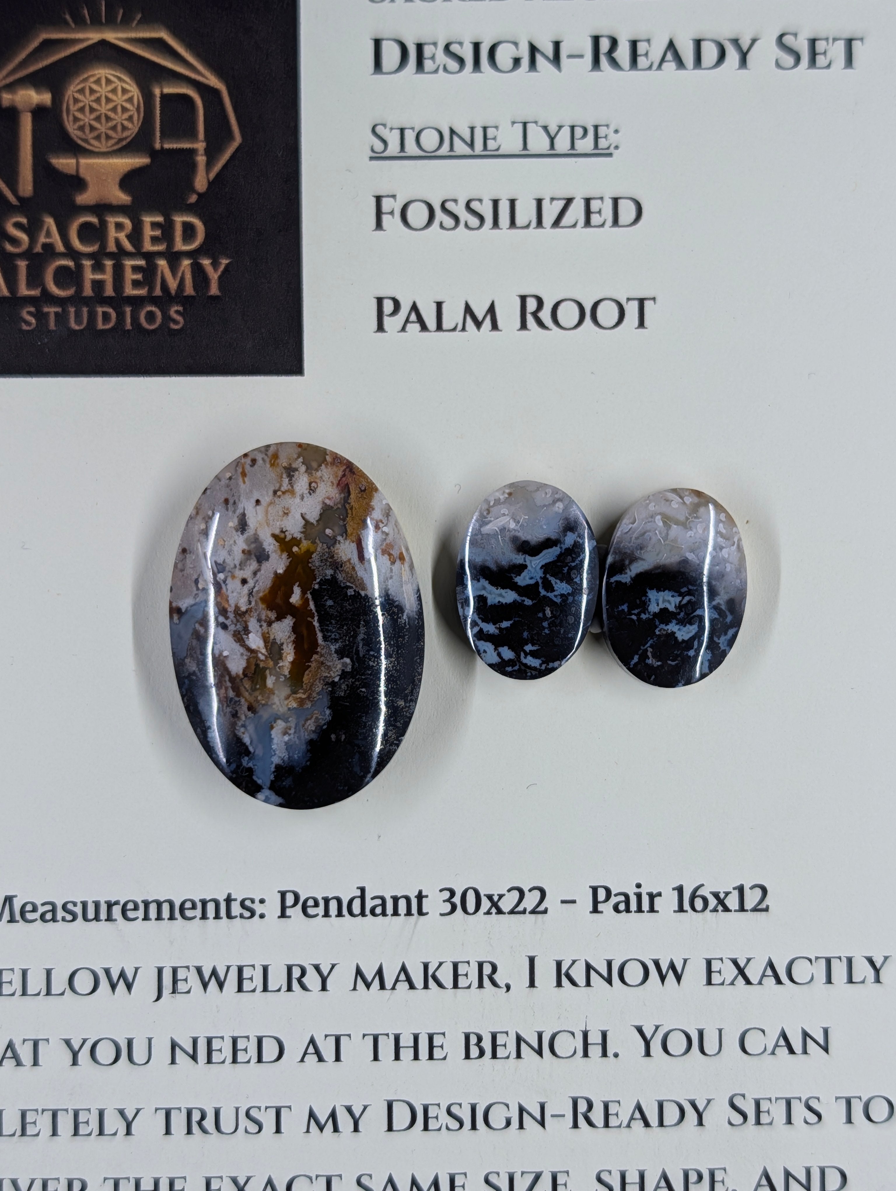Oval Shape - Fossilized Palm Root - Design-Ready Set