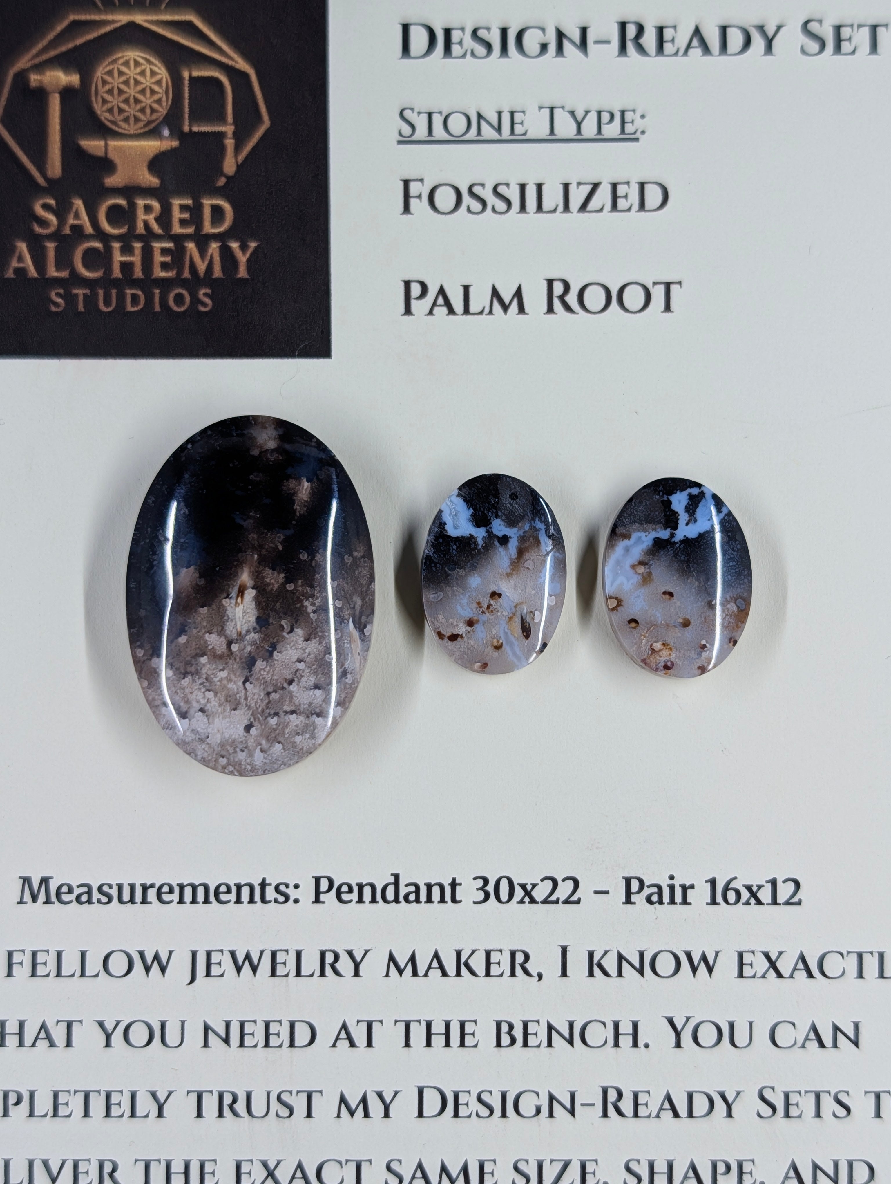 Oval Shape - Fossilized Palm Root - Design-Ready Set