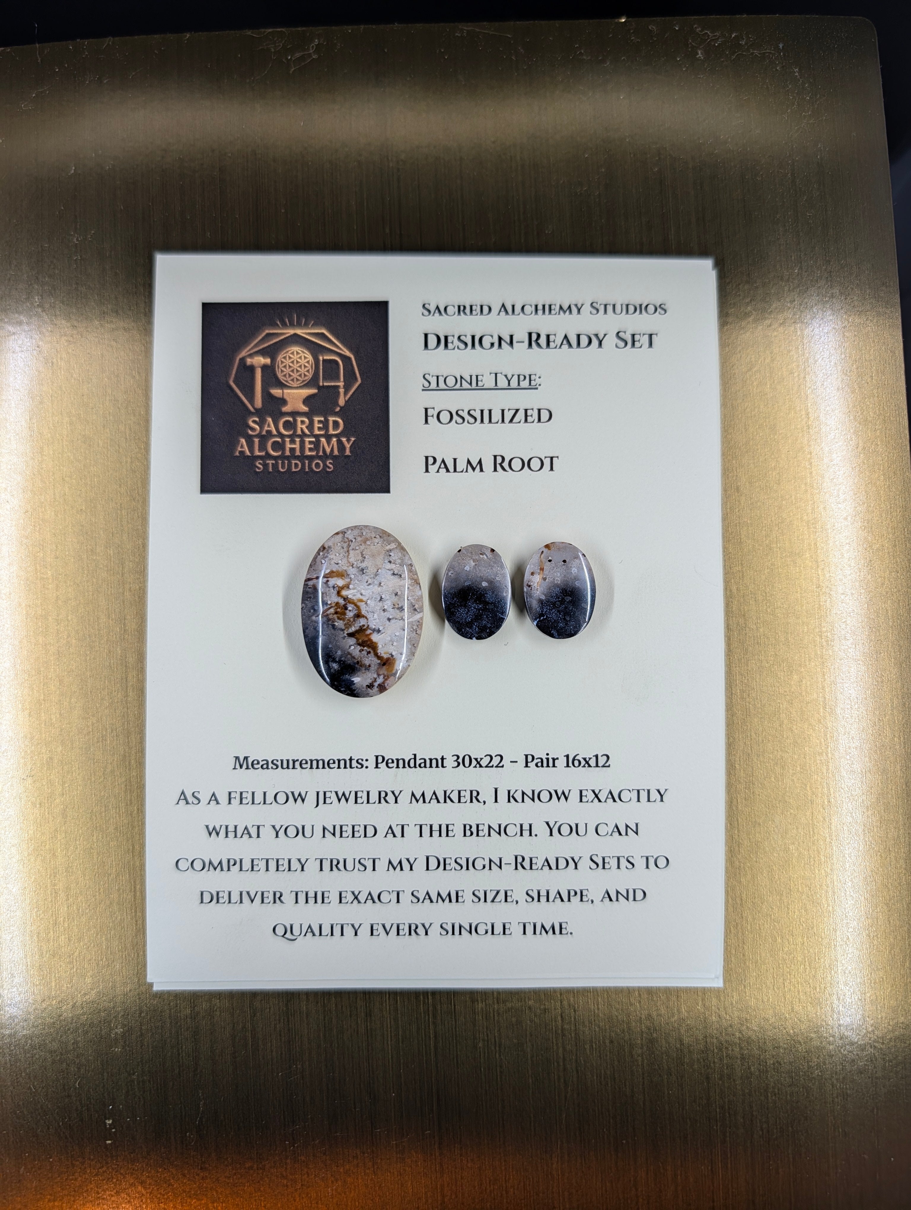 Oval Shape - Fossilized Palm Root - Design-Ready Set