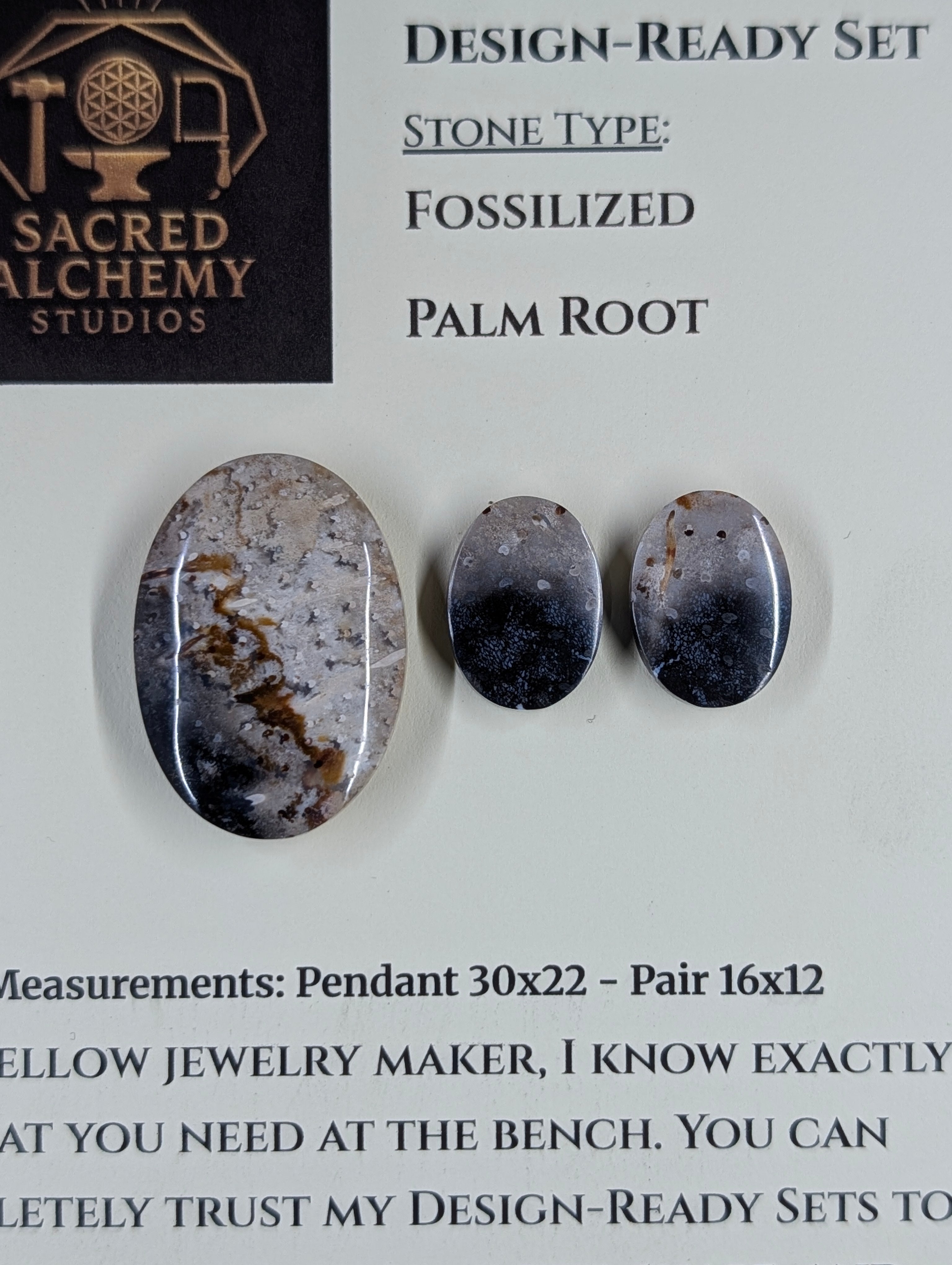 Oval Shape - Fossilized Palm Root - Design-Ready Set