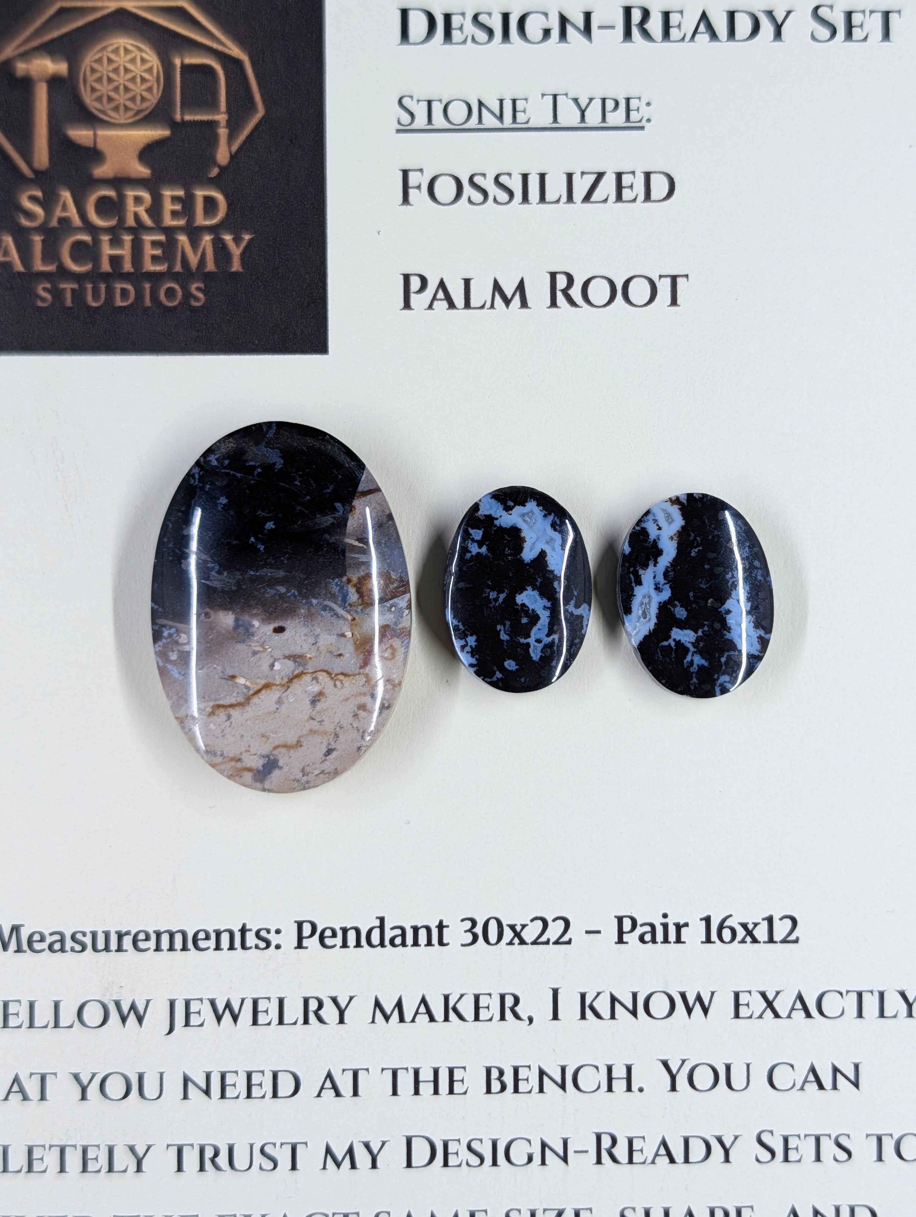 Oval Shape - Fossilized Palm Root - Design-Ready Set