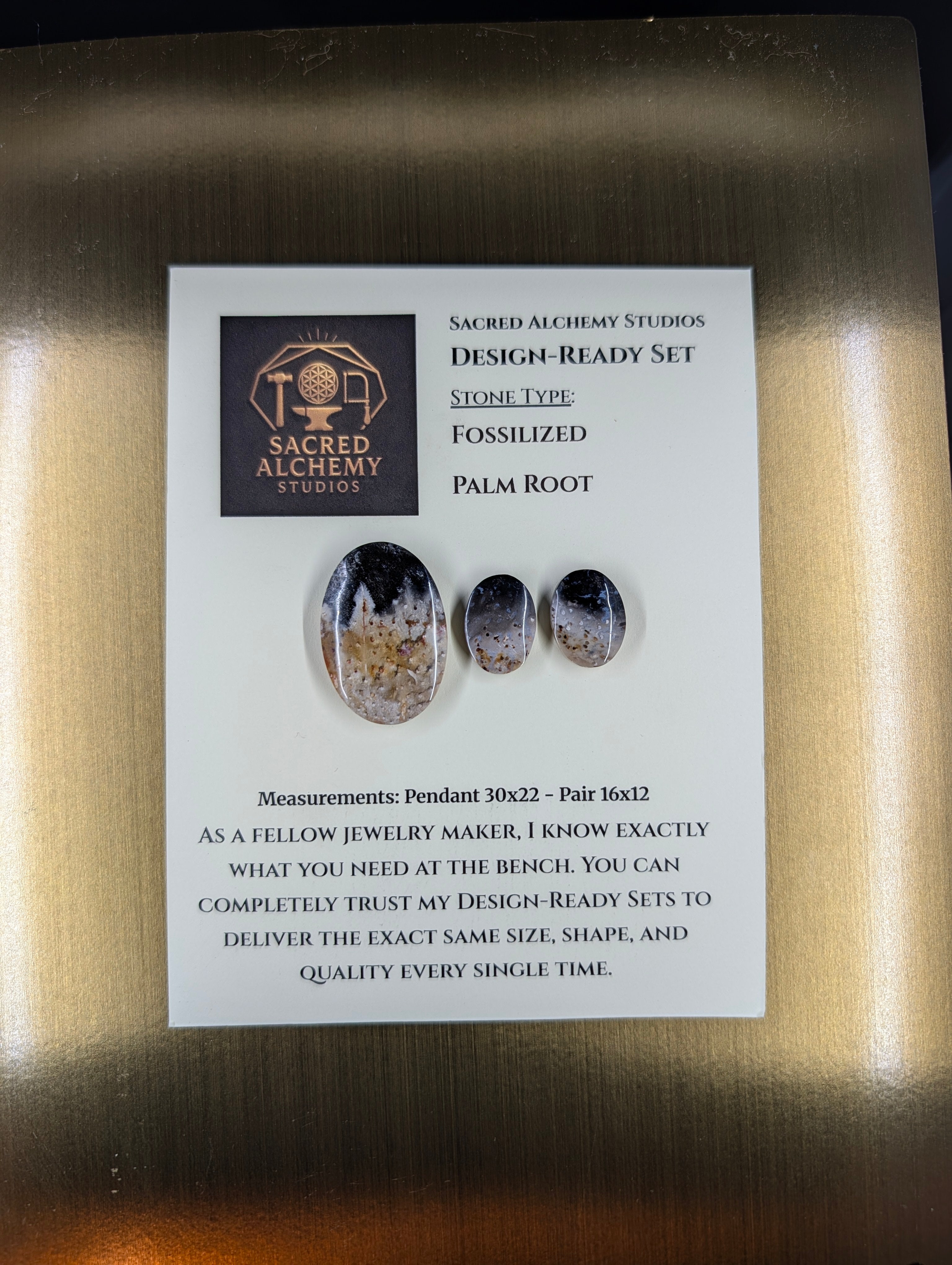 Oval Shape - Fossilized Palm Root - Design-Ready Set