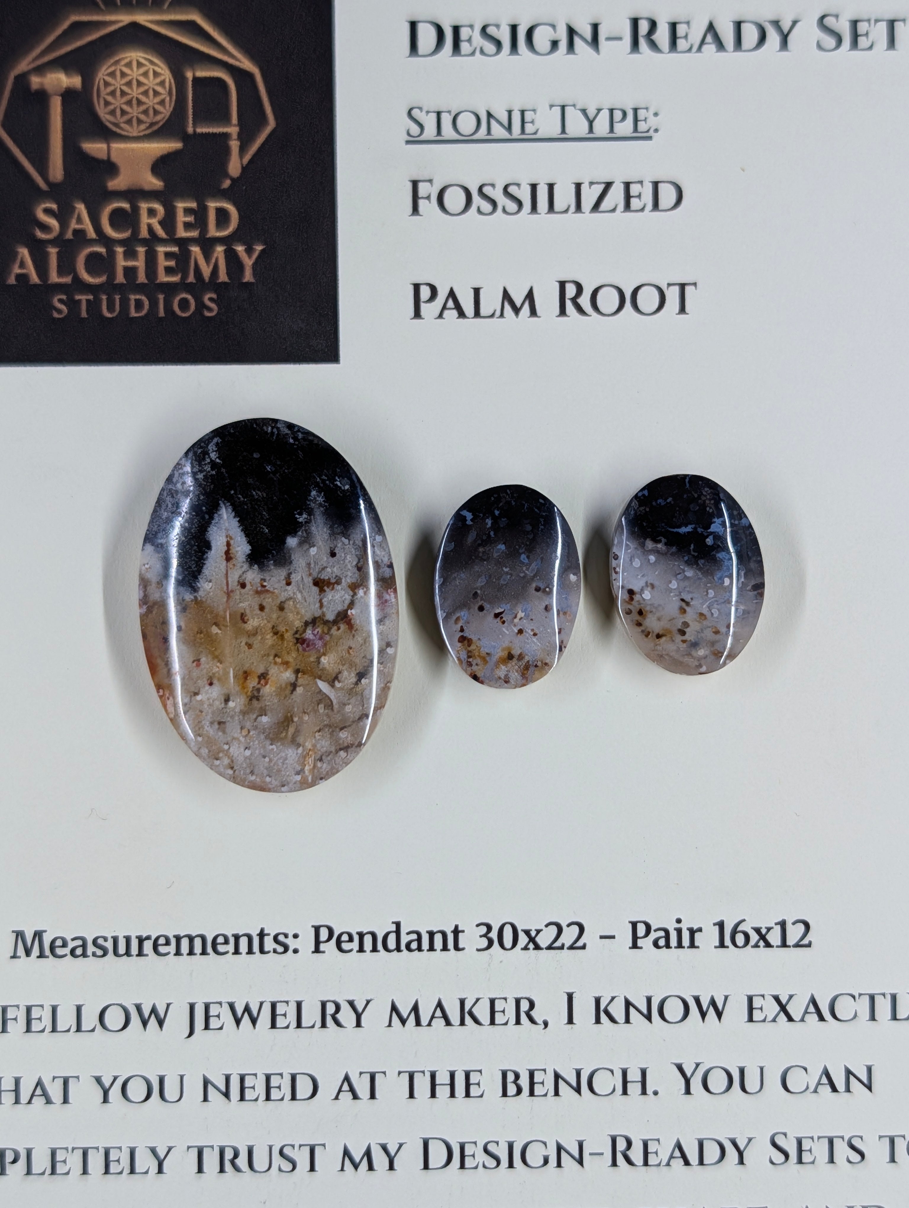 Oval Shape - Fossilized Palm Root - Design-Ready Set