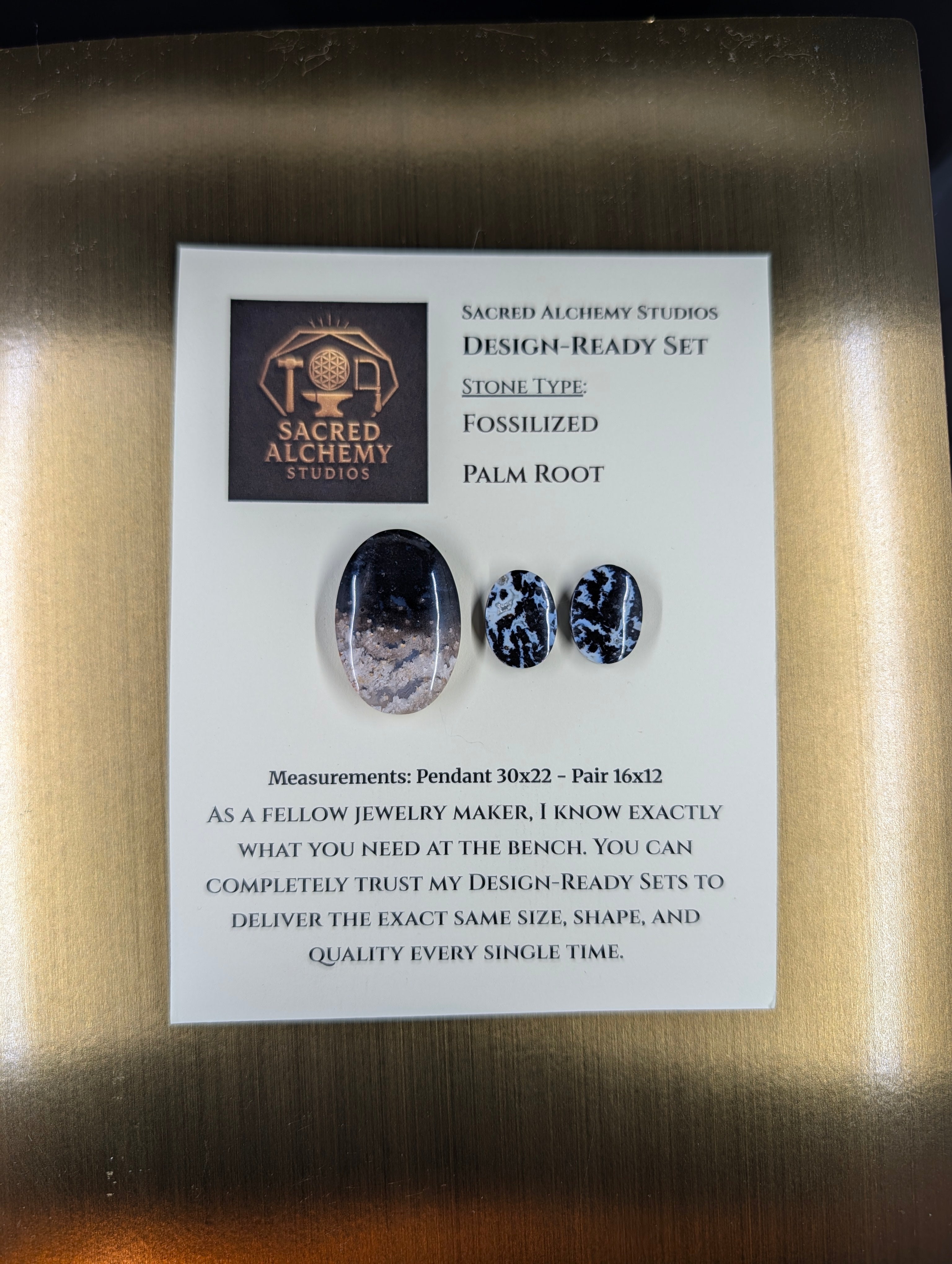 Oval Shape - Fossilized Palm Root - Design-Ready Set