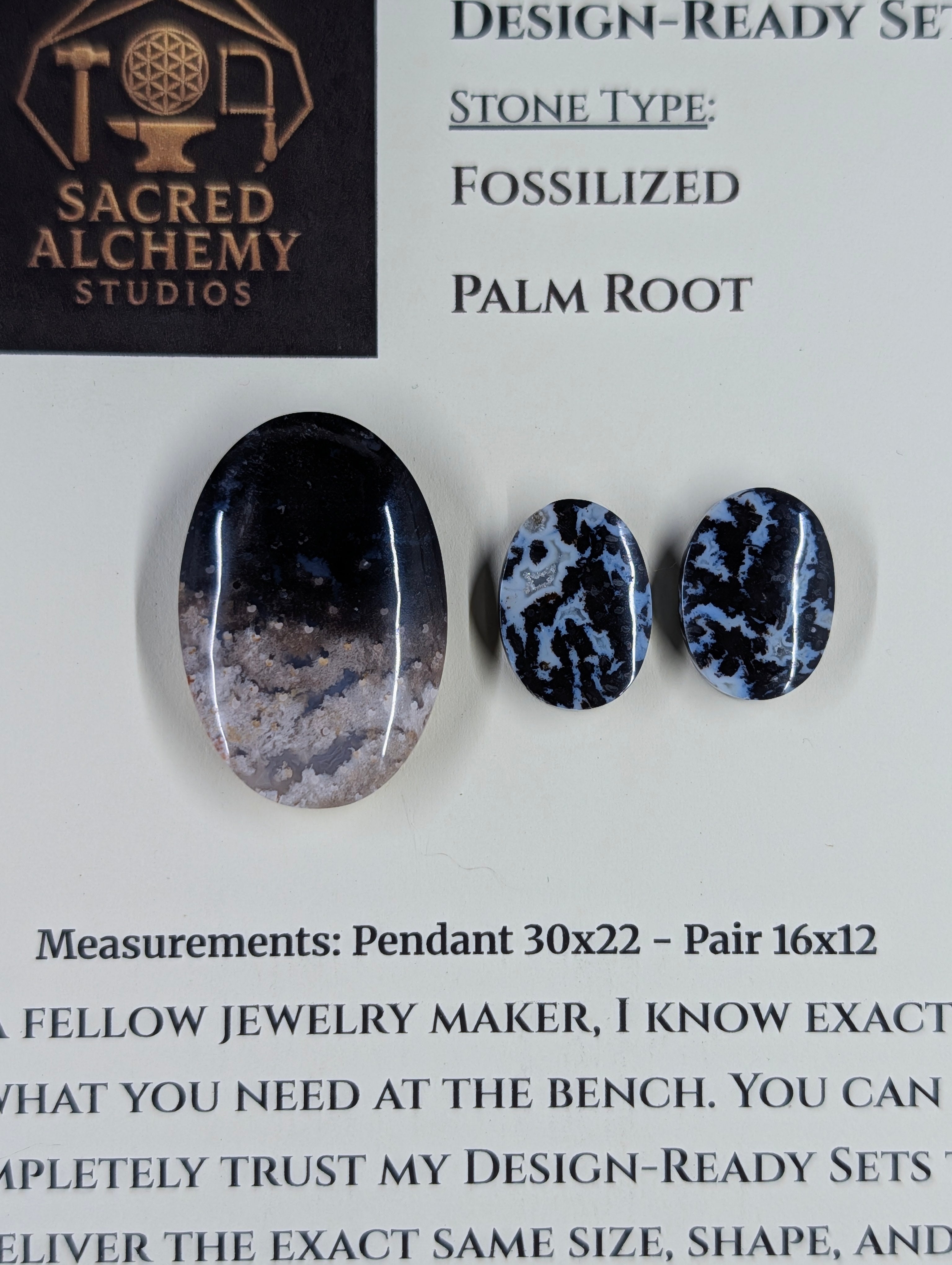 Oval Shape - Fossilized Palm Root - Design-Ready Set