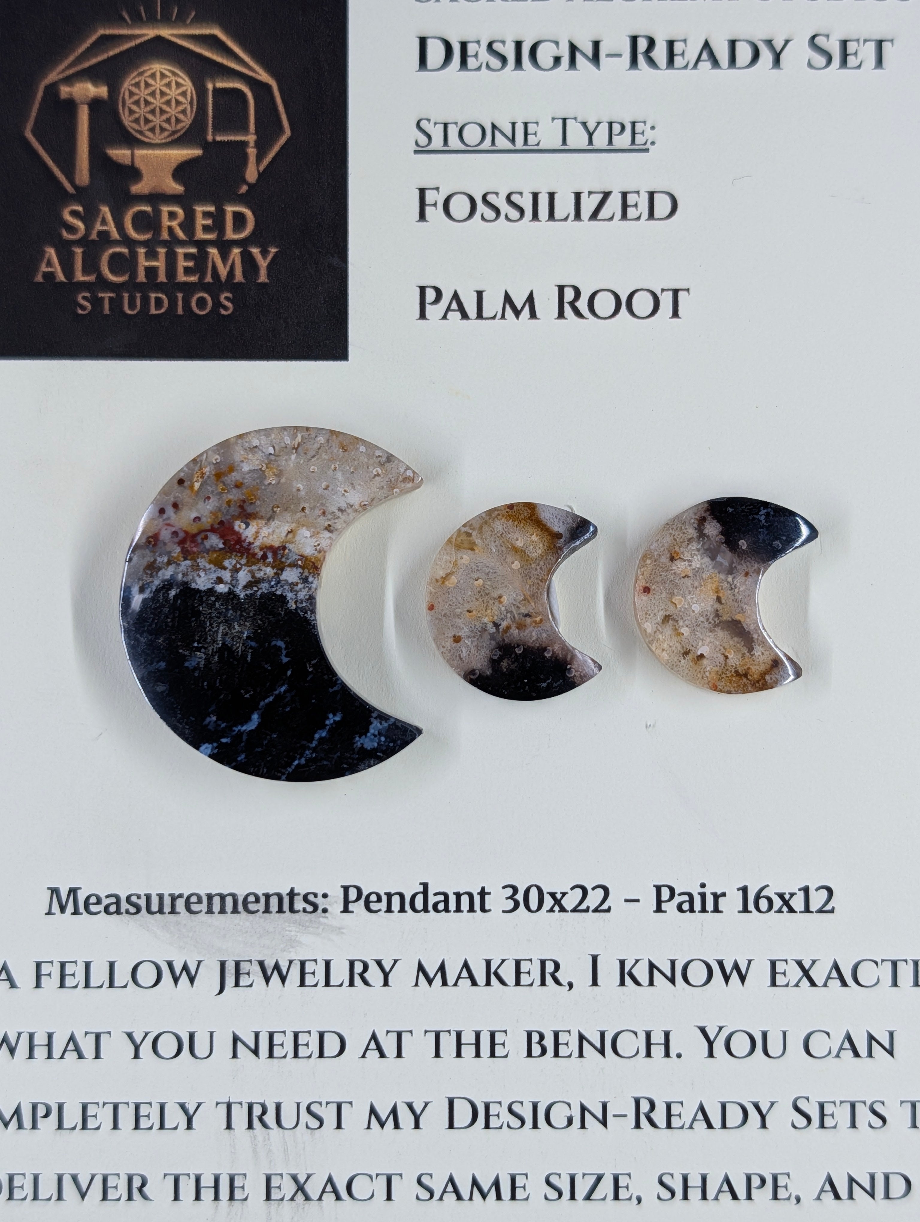 Crescent Moon - Fossilized Palm Root - Design-Ready Set