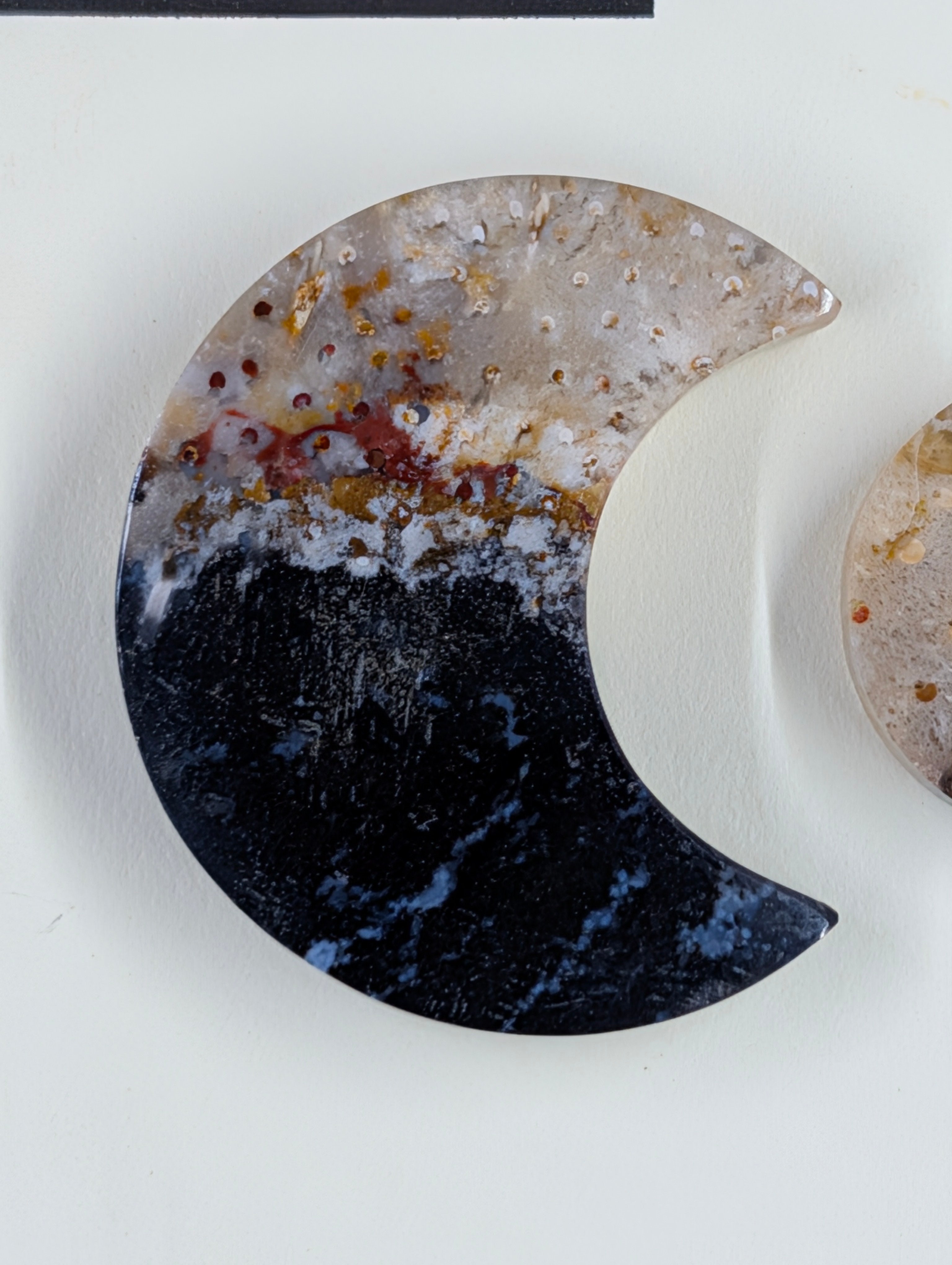 Crescent Moon - Fossilized Palm Root - Design-Ready Set