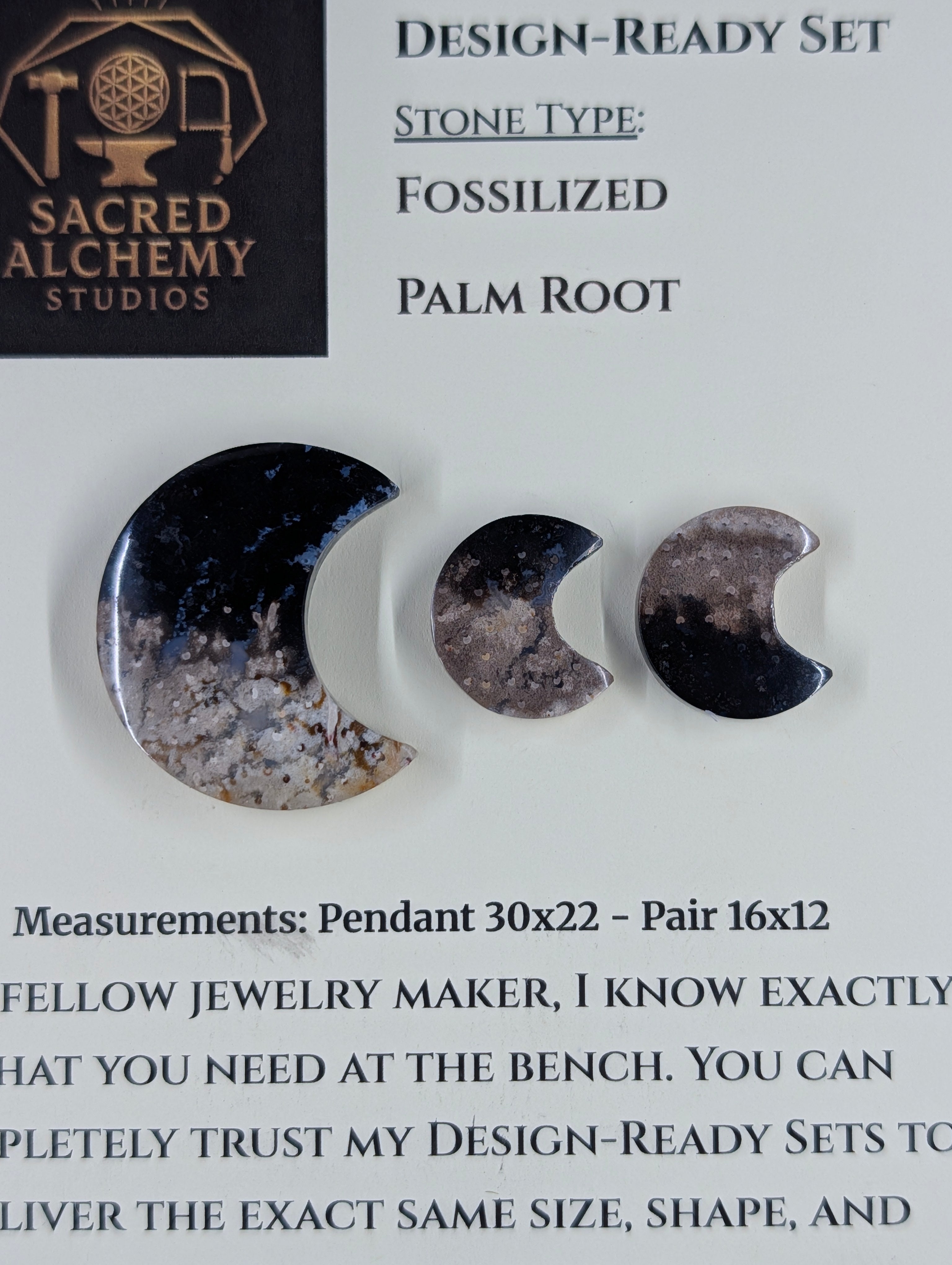 Crescent Moon - Fossilized Palm Root - Design-Ready Set