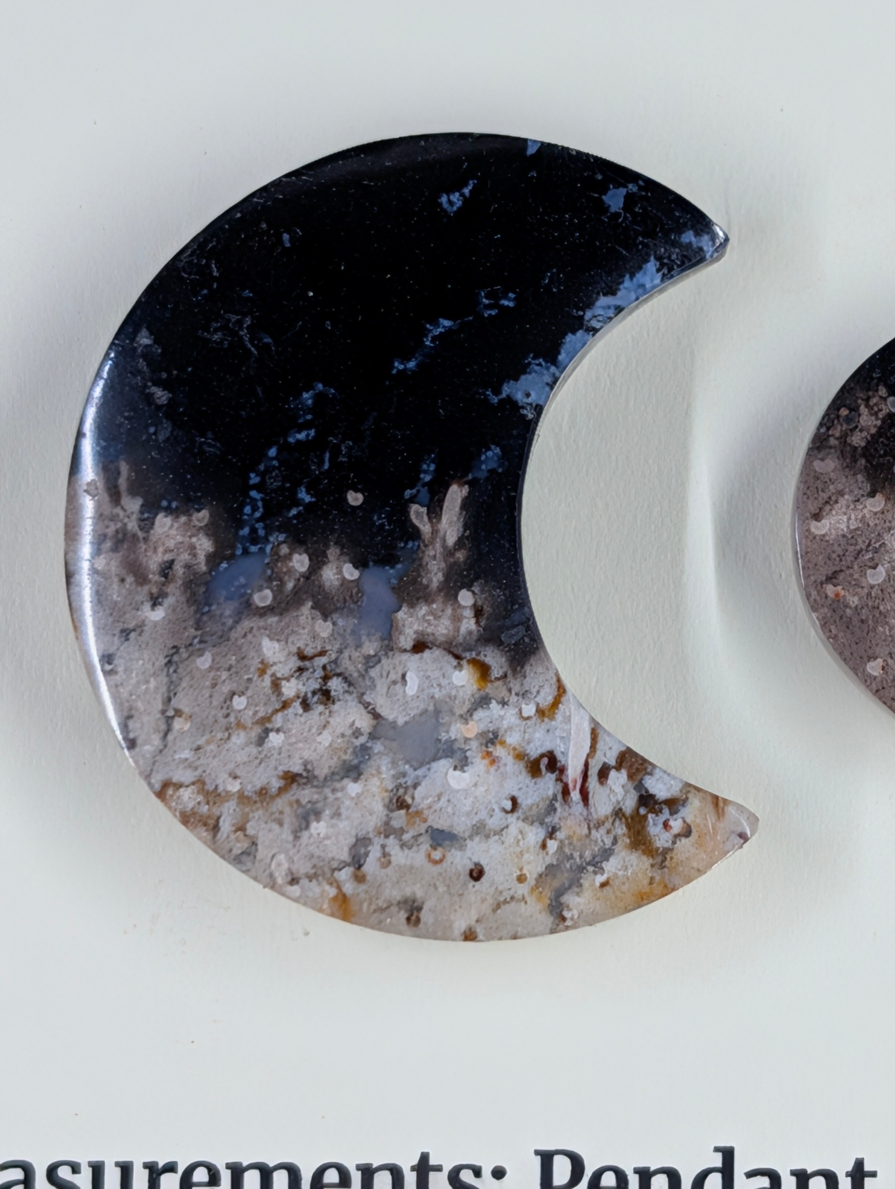 Crescent Moon - Fossilized Palm Root - Design-Ready Set