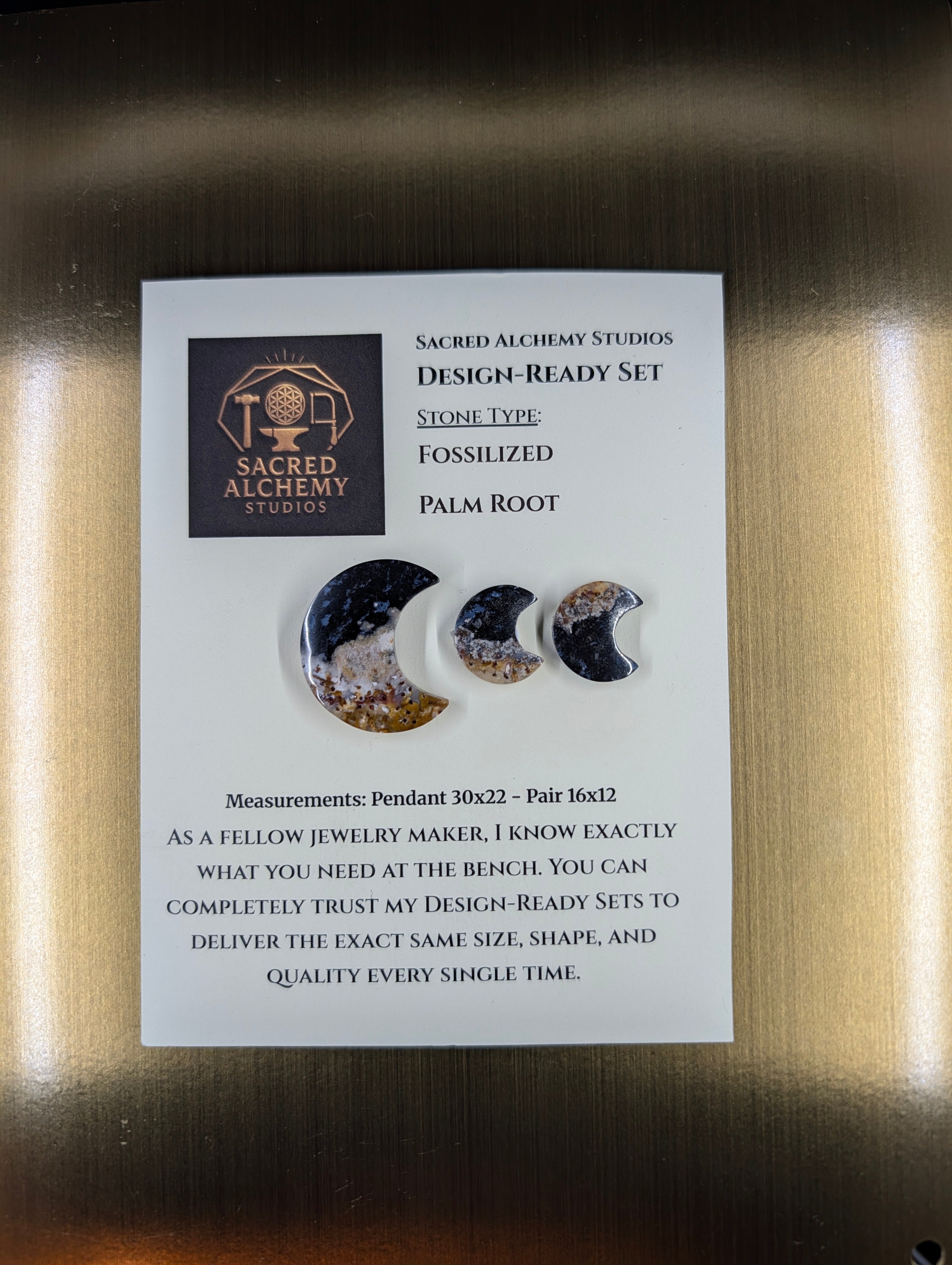 Crescent Moon - Fossilized Palm Root - Design-Ready Set