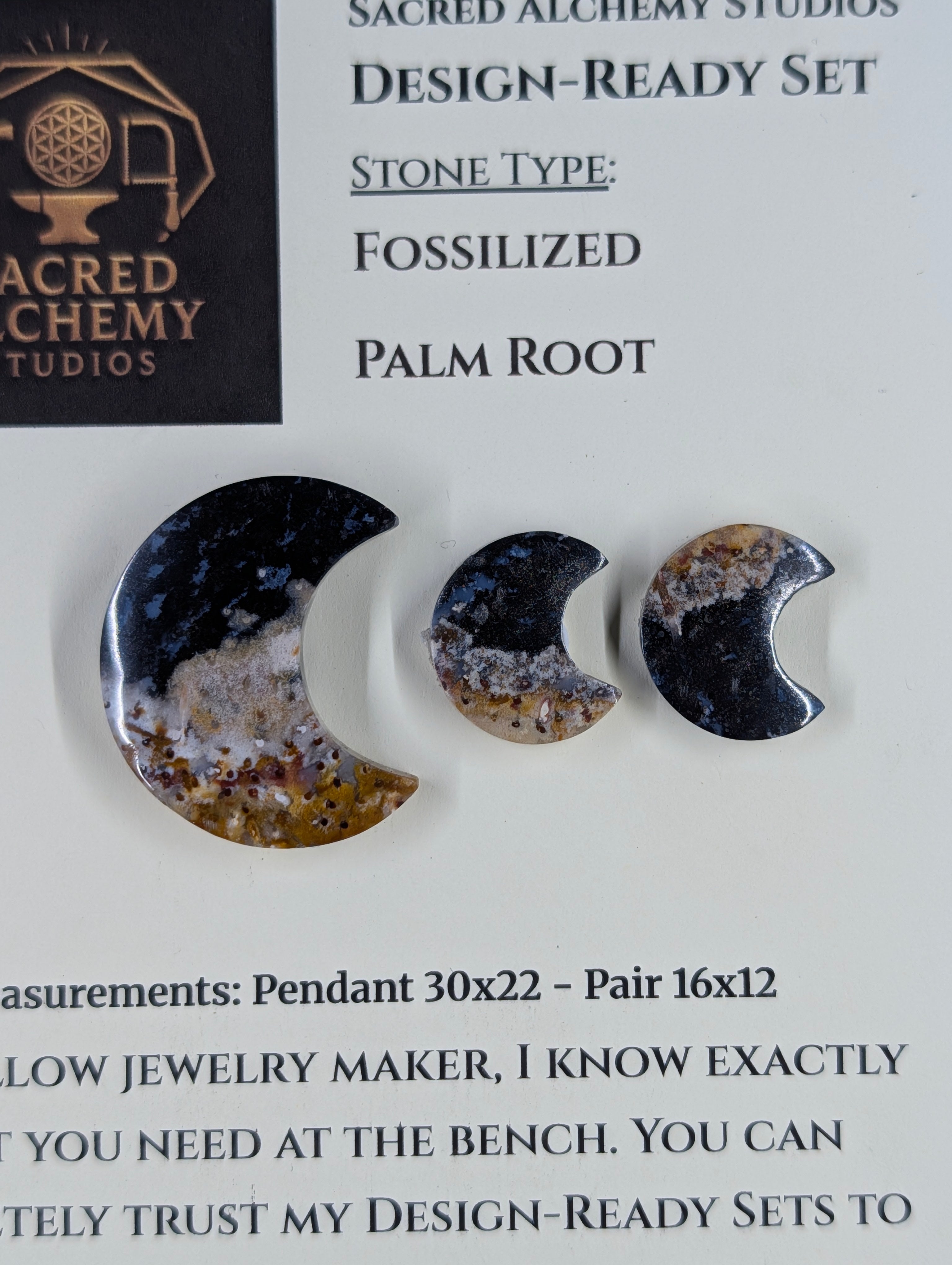 Crescent Moon - Fossilized Palm Root - Design-Ready Set