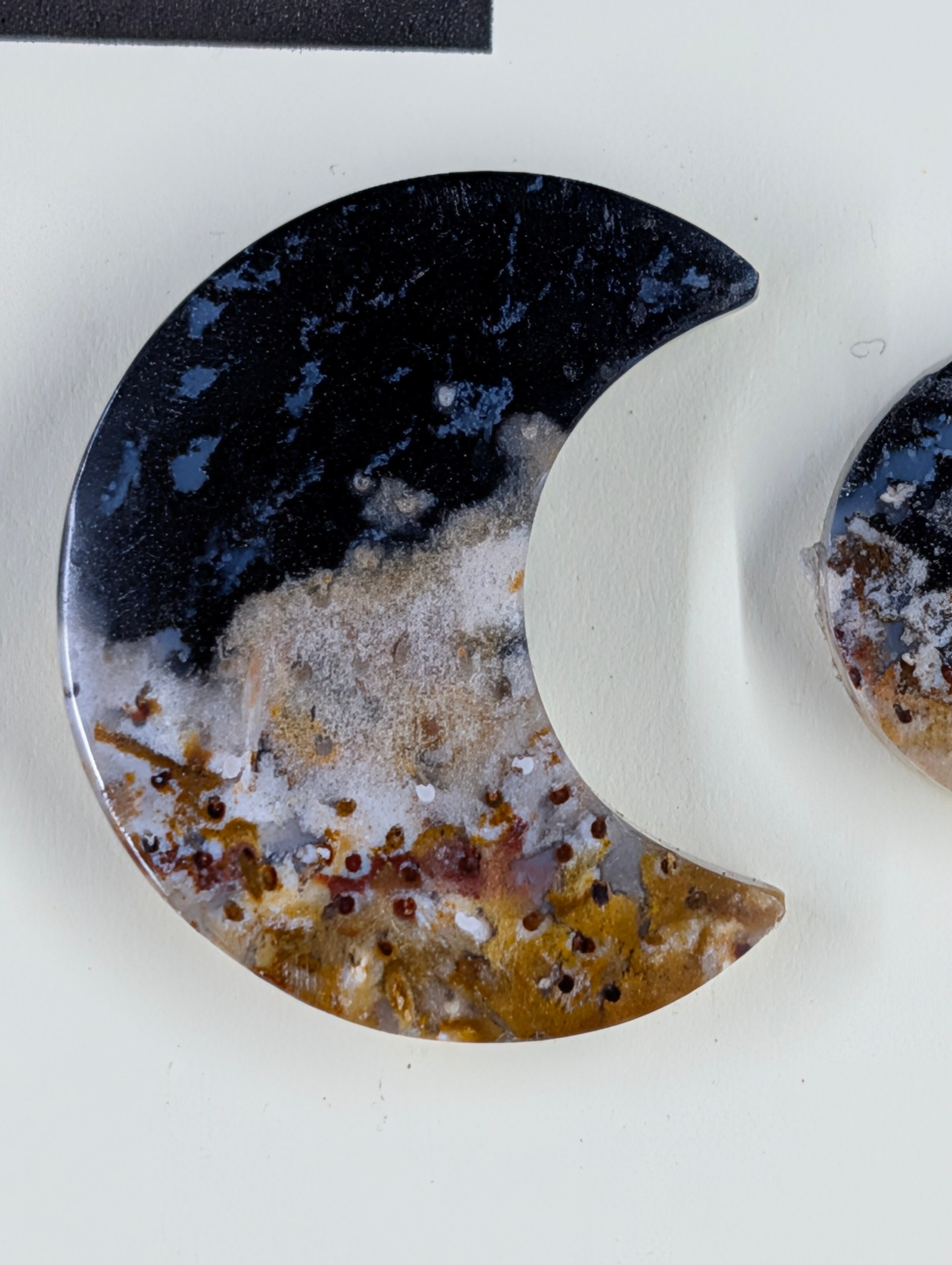Crescent Moon - Fossilized Palm Root - Design-Ready Set
