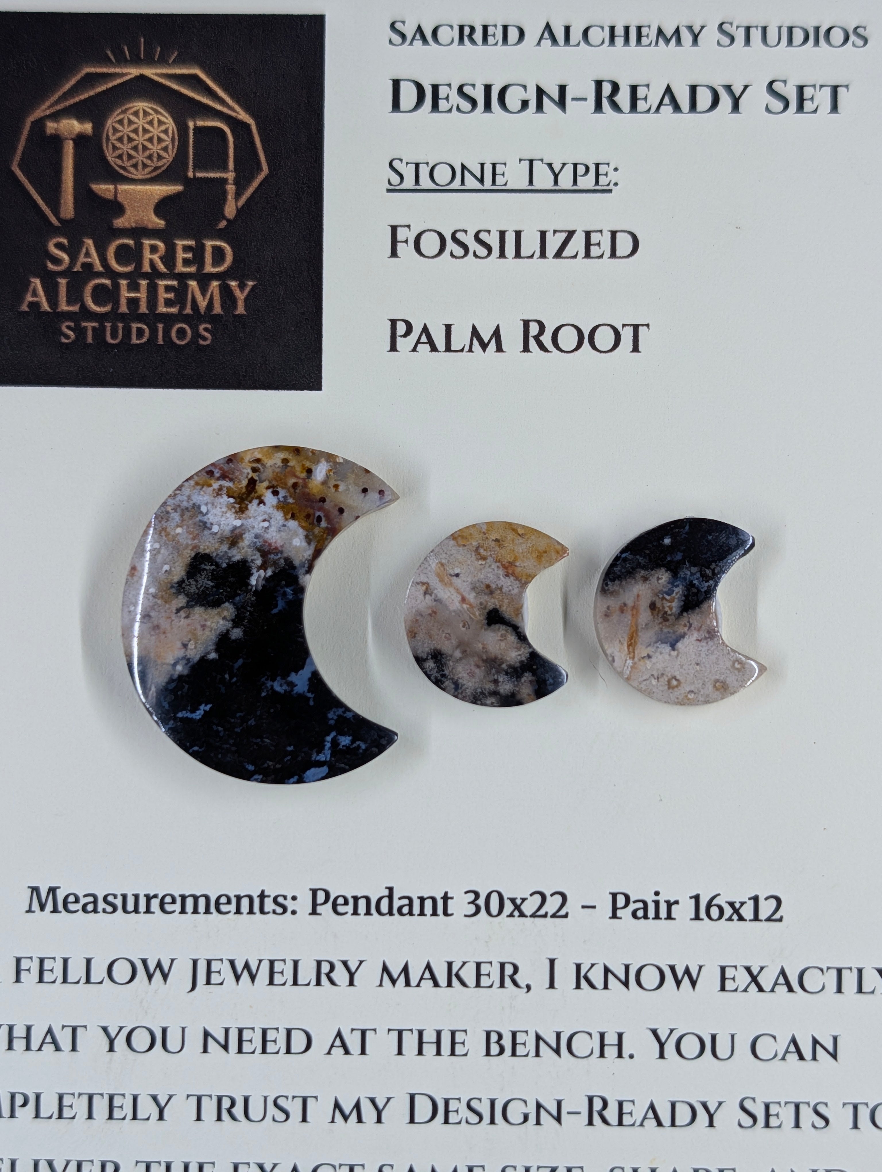 Crescent Moon - Fossilized Palm Root - Design-Ready Set