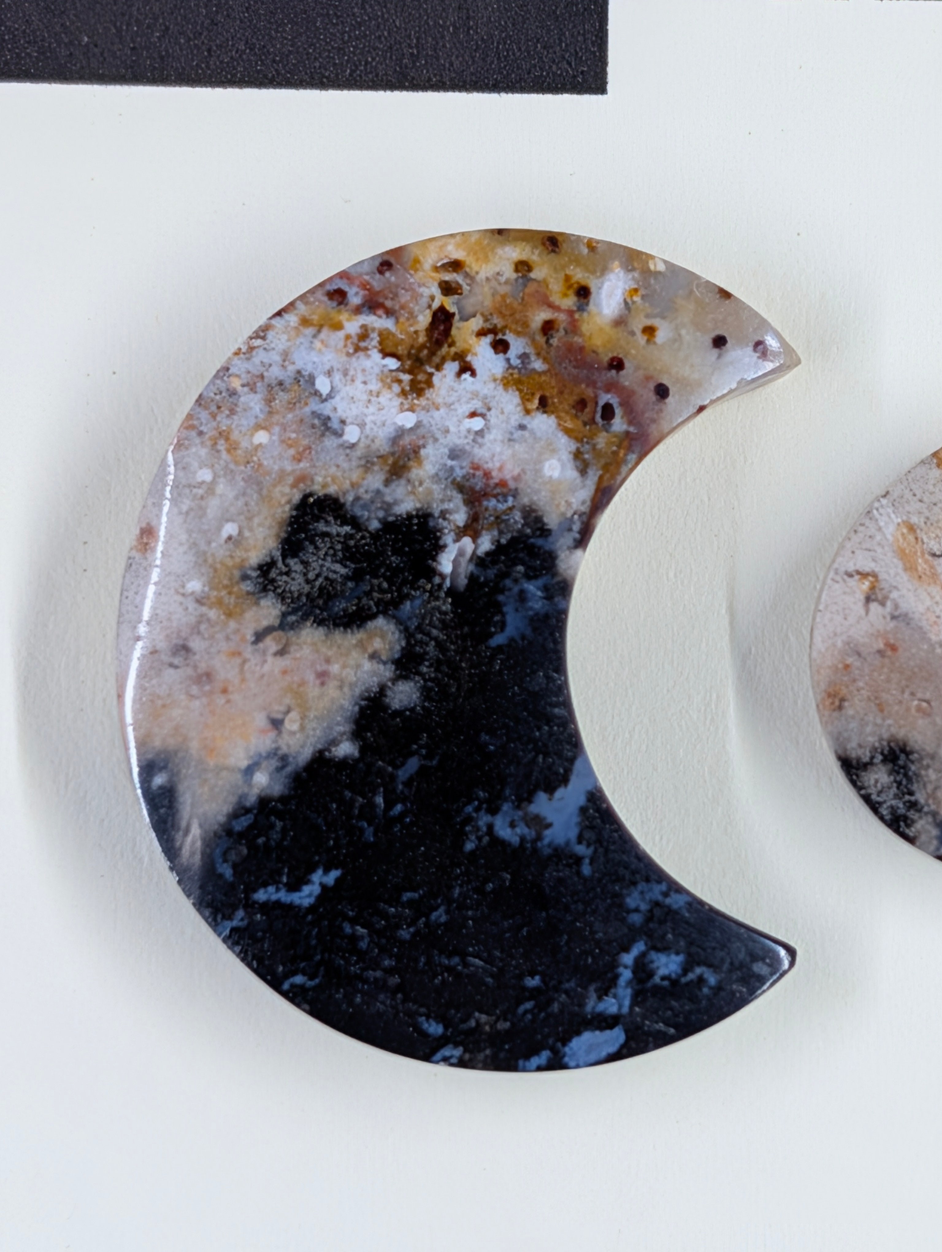 Crescent Moon - Fossilized Palm Root - Design-Ready Set