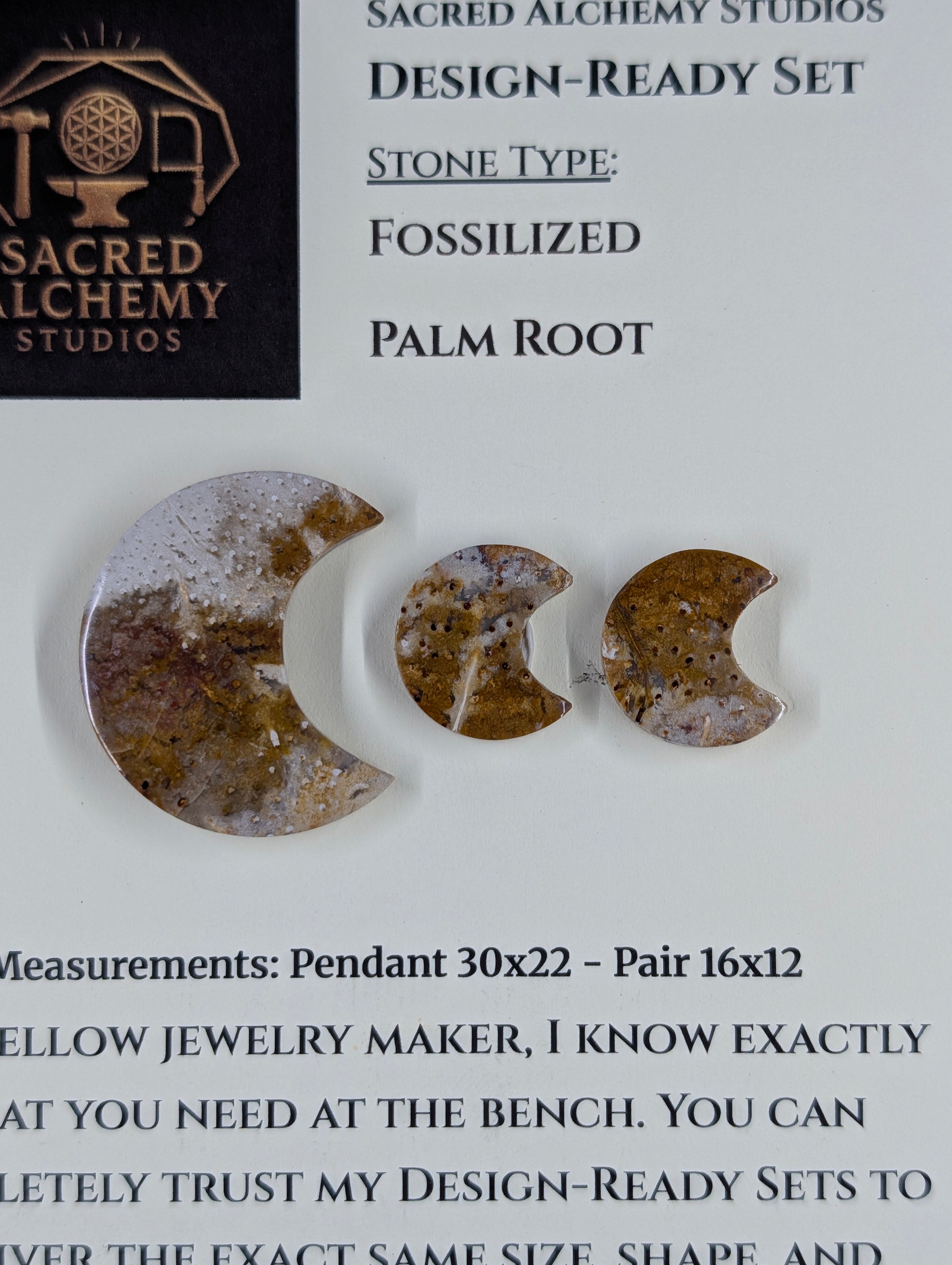 Crescent Moon - Fossilized Palm Root - Design-Ready Set