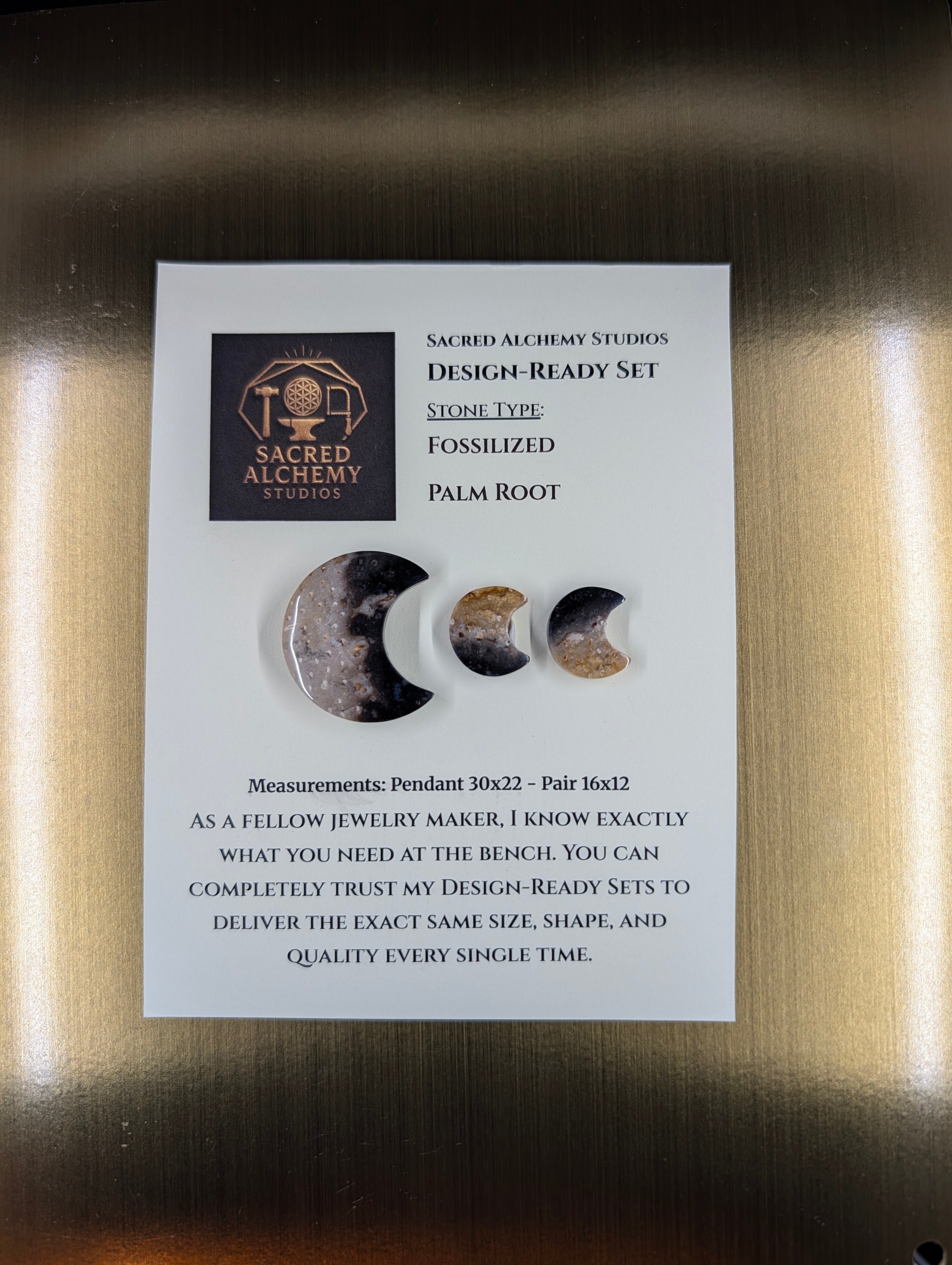 Crescent Moon - Fossilized Palm Root - Design-Ready Set