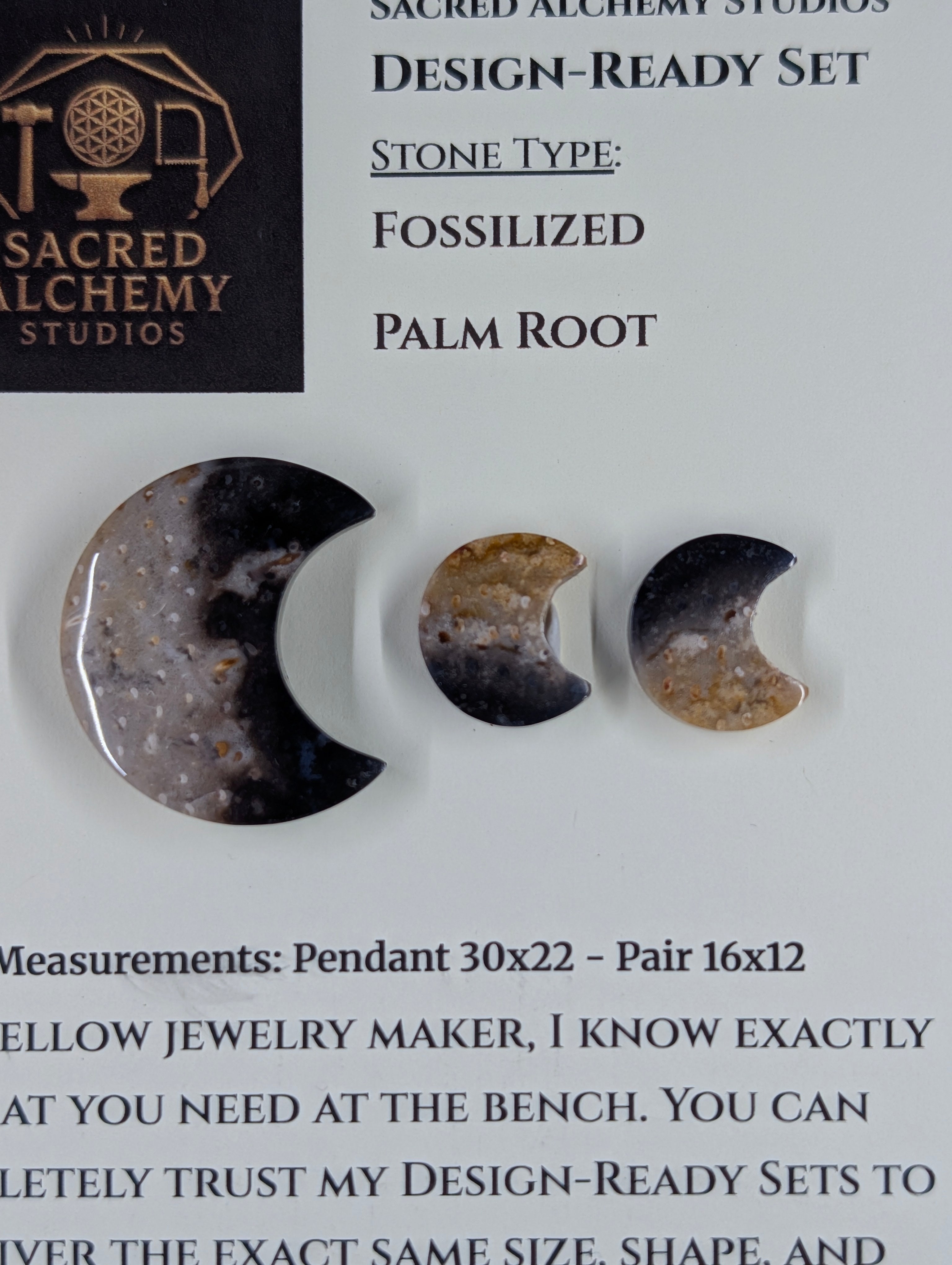 Crescent Moon - Fossilized Palm Root - Design-Ready Set