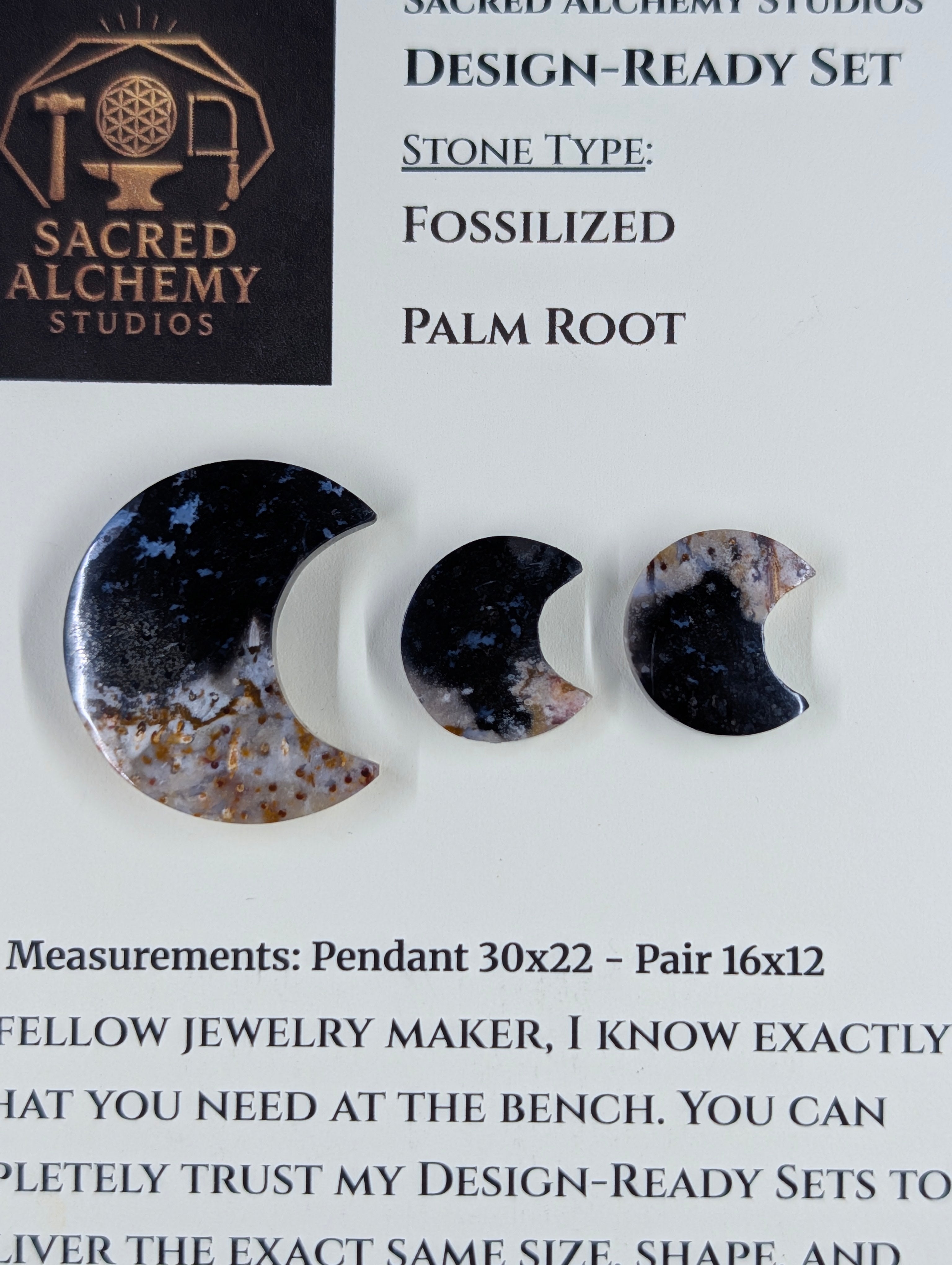 Crescent Moon - Fossilized Palm Root - Design-Ready Set
