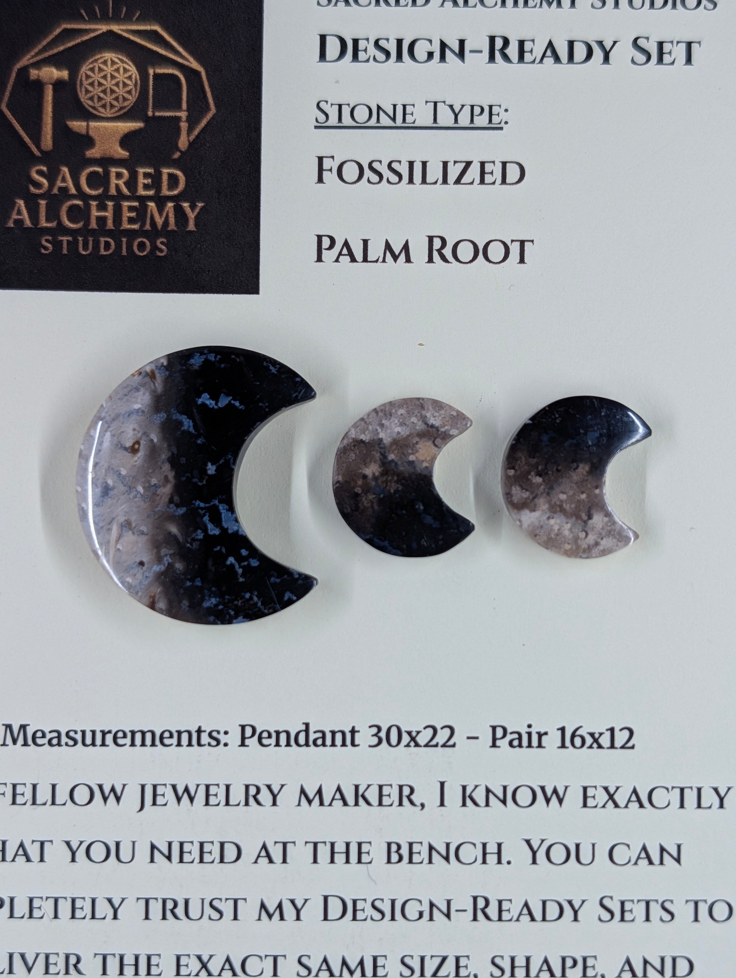 Crescent Moon - Fossilized Palm Root - Design-Ready Set
