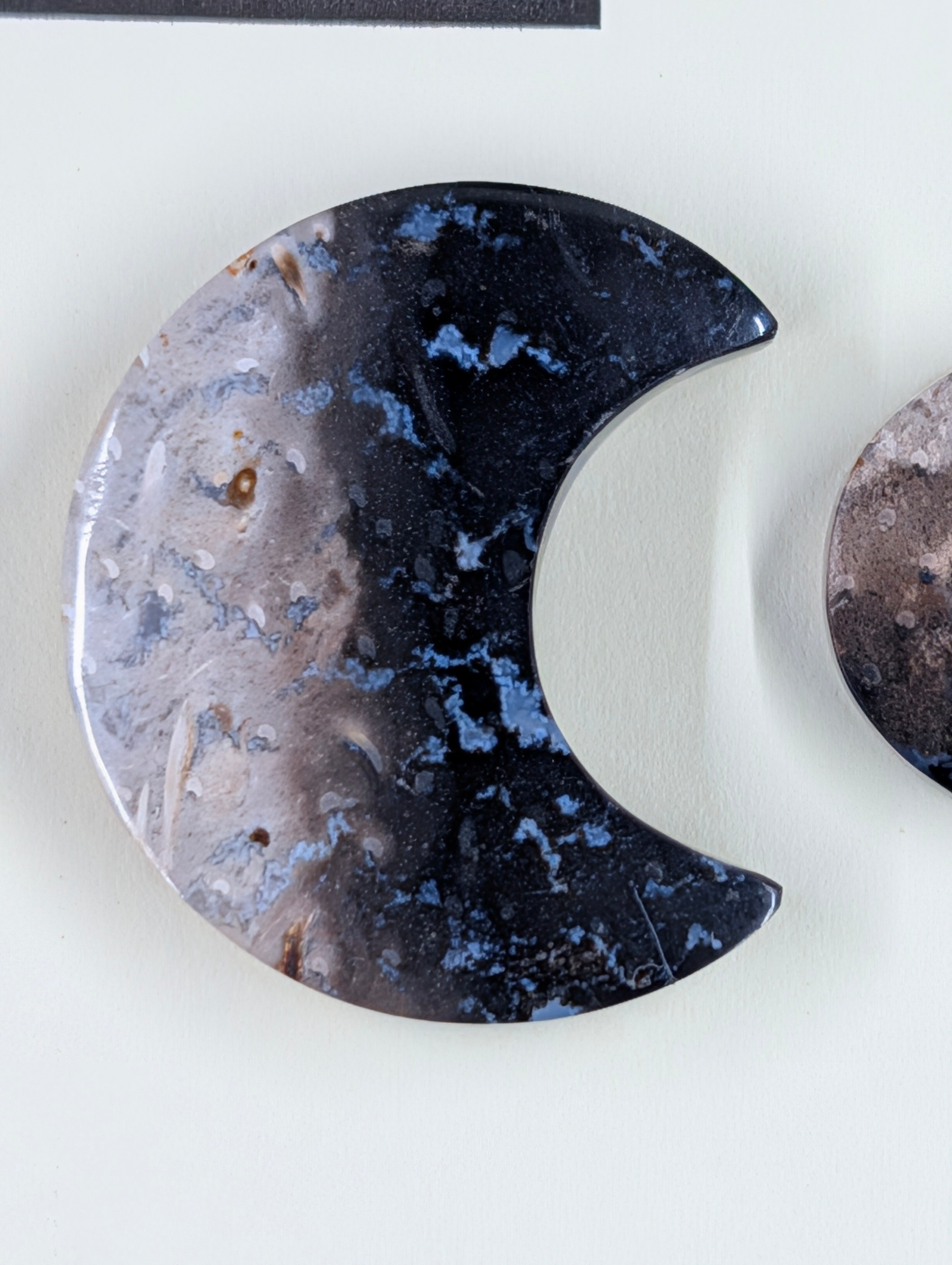 Crescent Moon - Fossilized Palm Root - Design-Ready Set