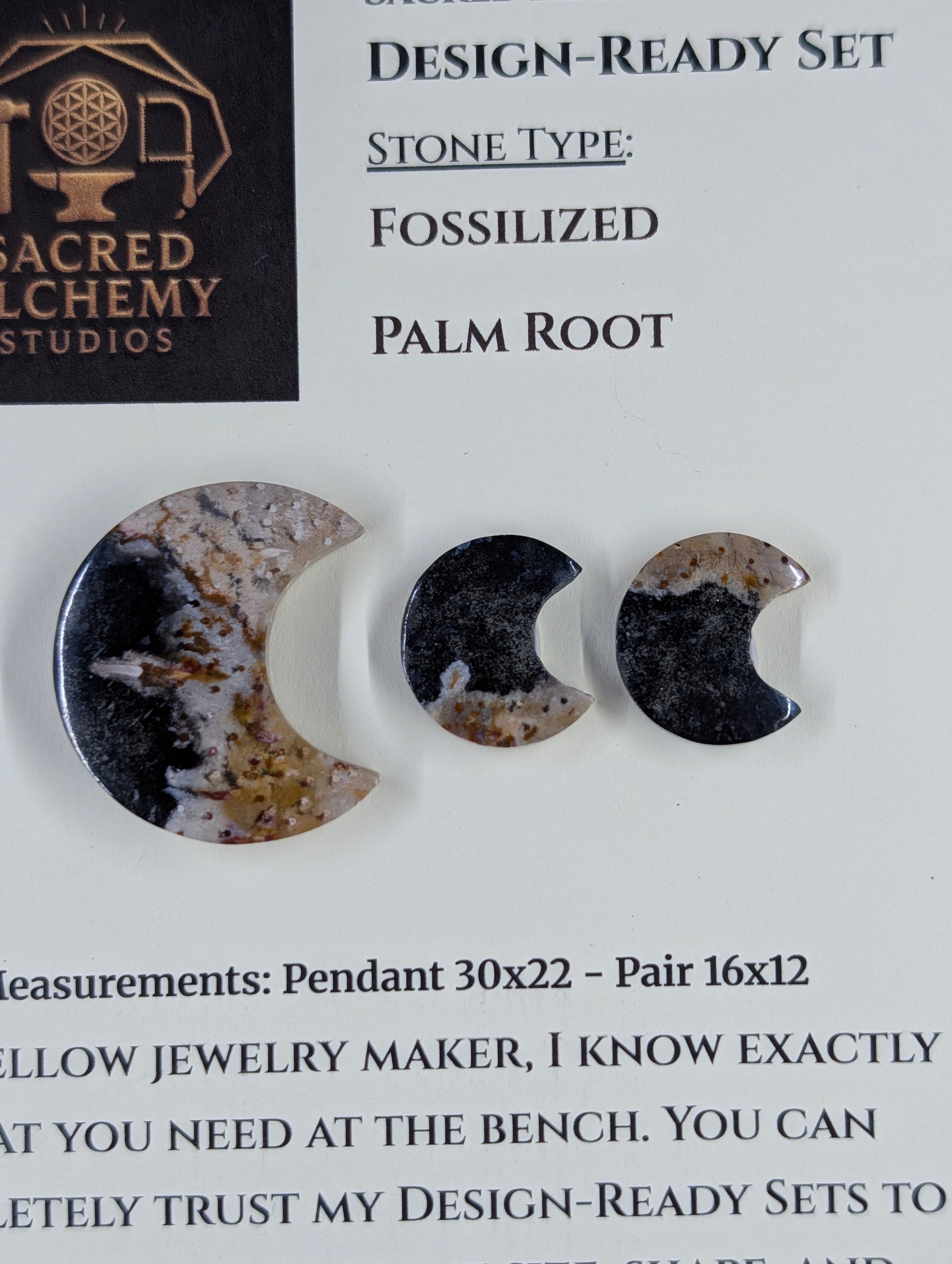 Crescent Moon - Fossilized Palm Root - Design-Ready Set
