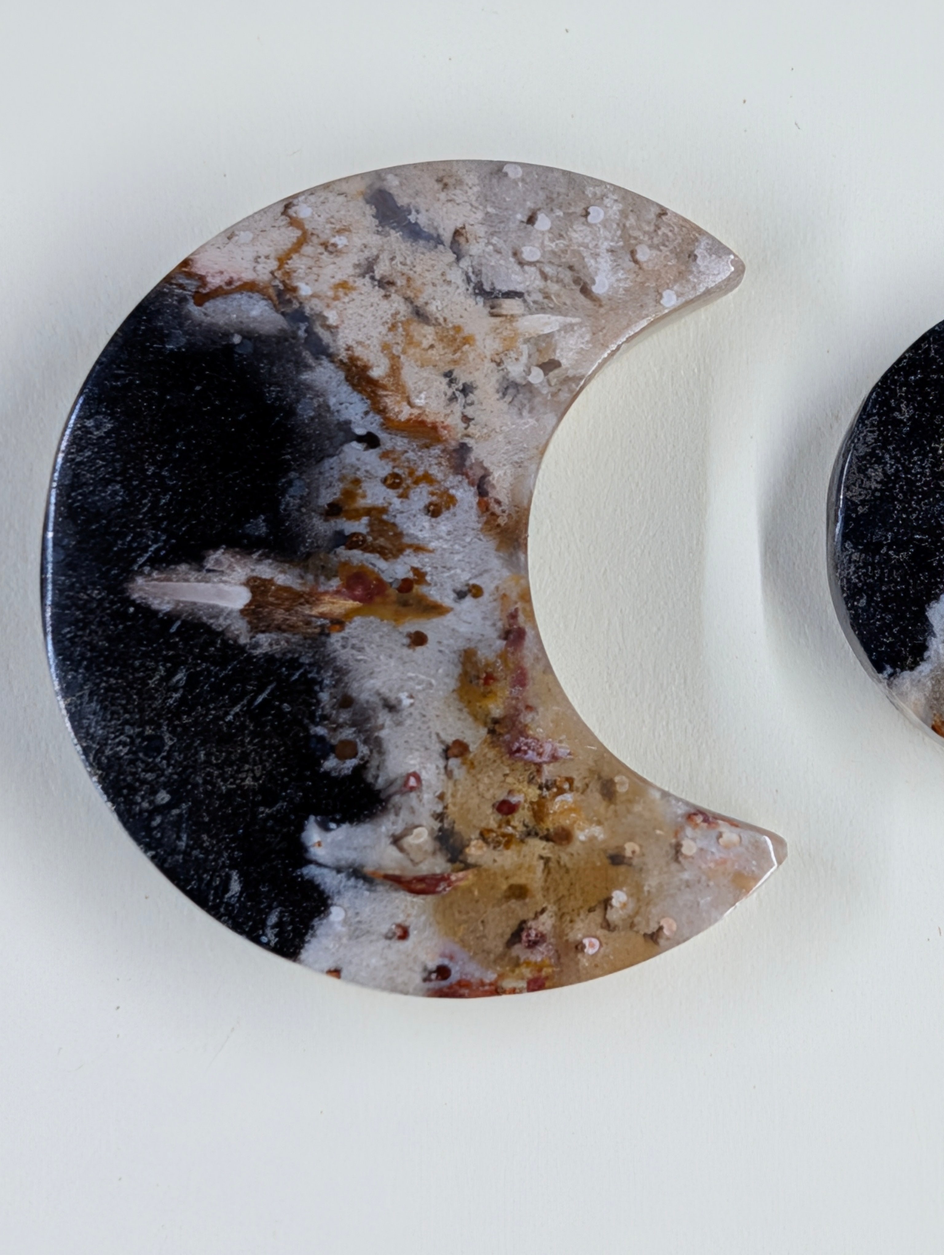 Crescent Moon - Fossilized Palm Root - Design-Ready Set