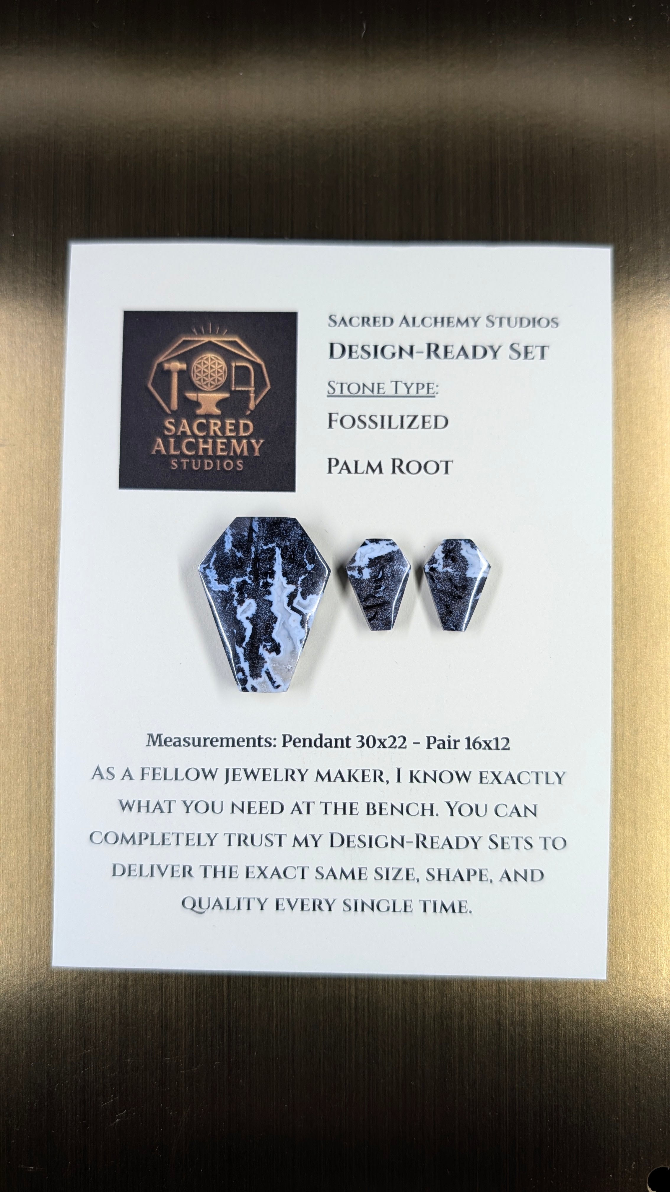 Coffin Shape - Fossilized Palm Root - Design-Ready Set