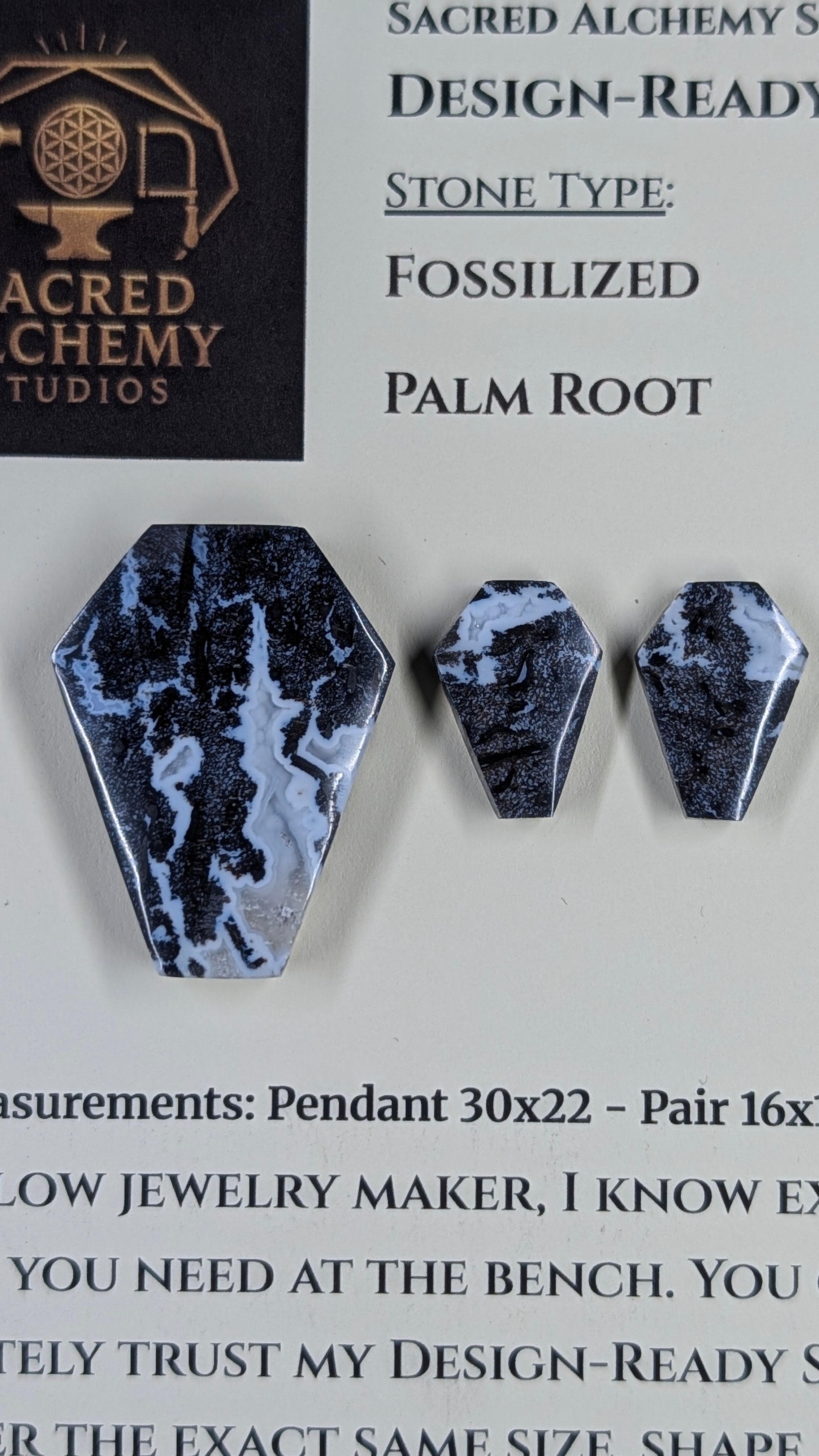 Coffin Shape - Fossilized Palm Root - Design-Ready Set