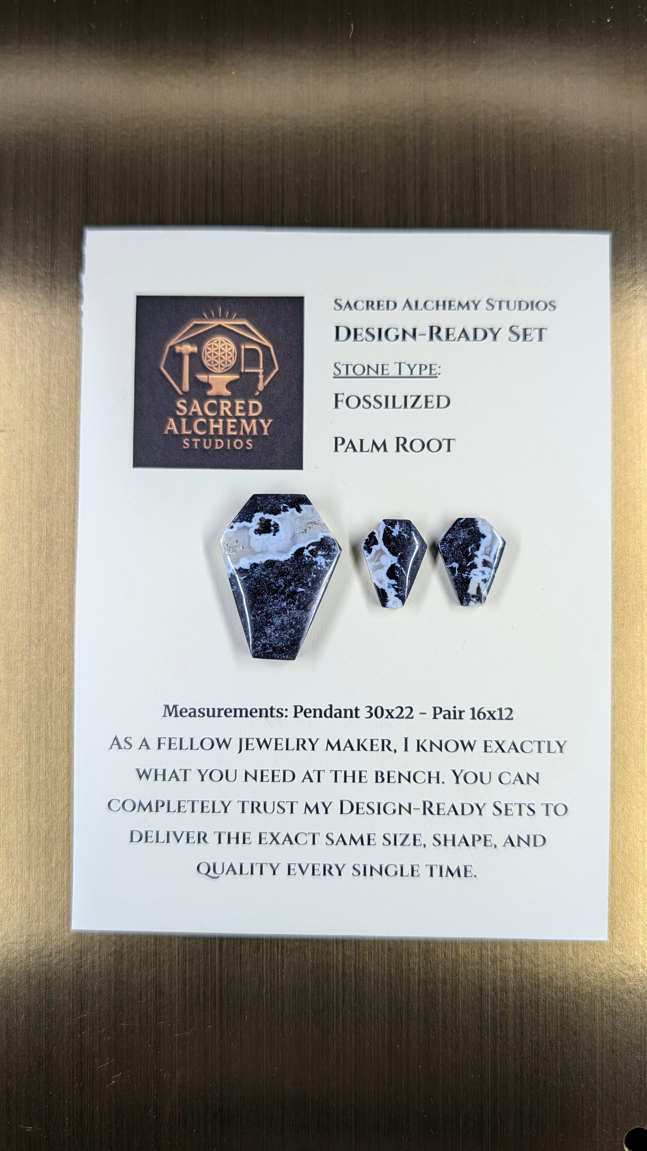 Coffin Shape - Fossilized Palm Root - Design-Ready Set