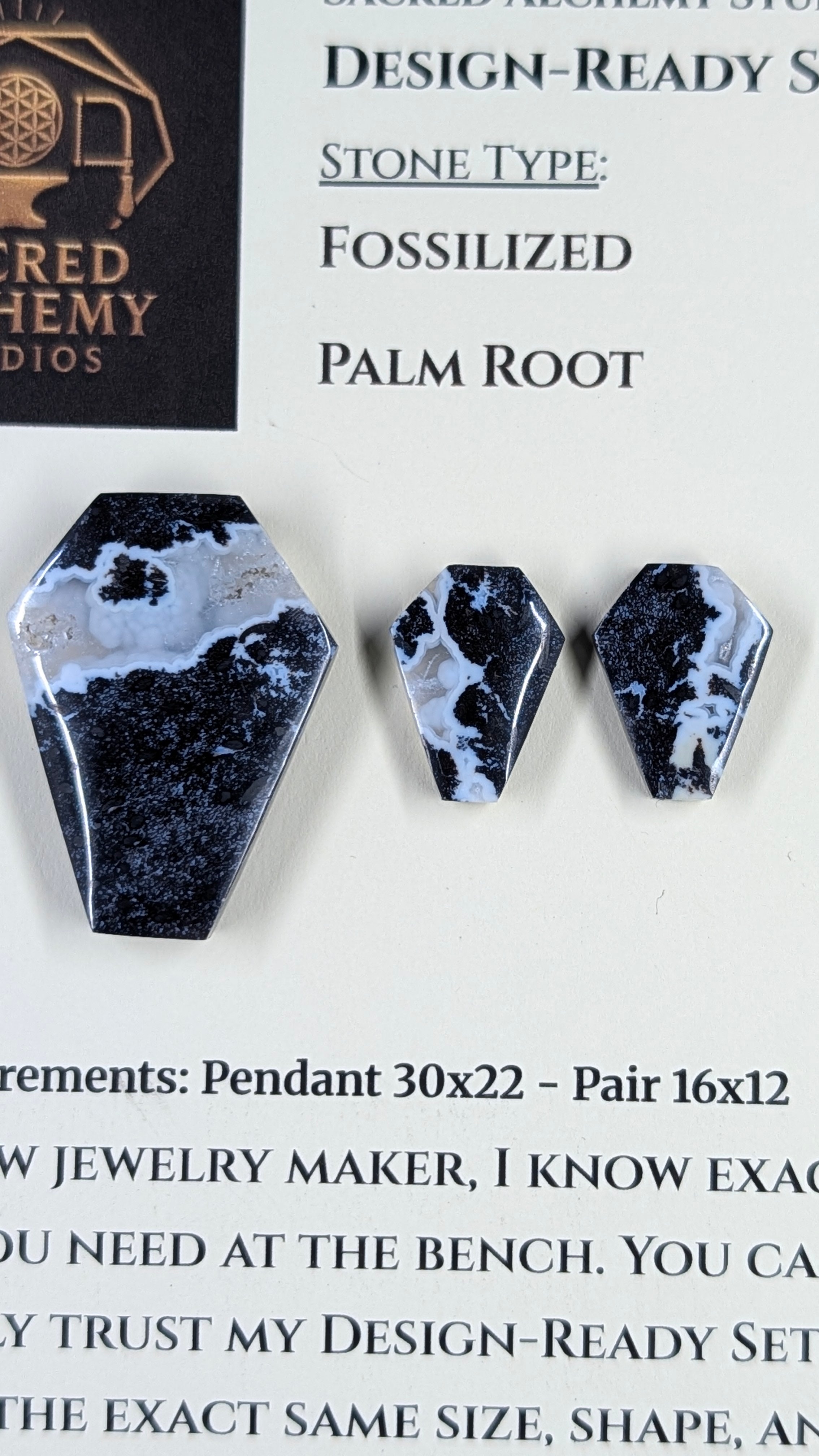 Coffin Shape - Fossilized Palm Root - Design-Ready Set