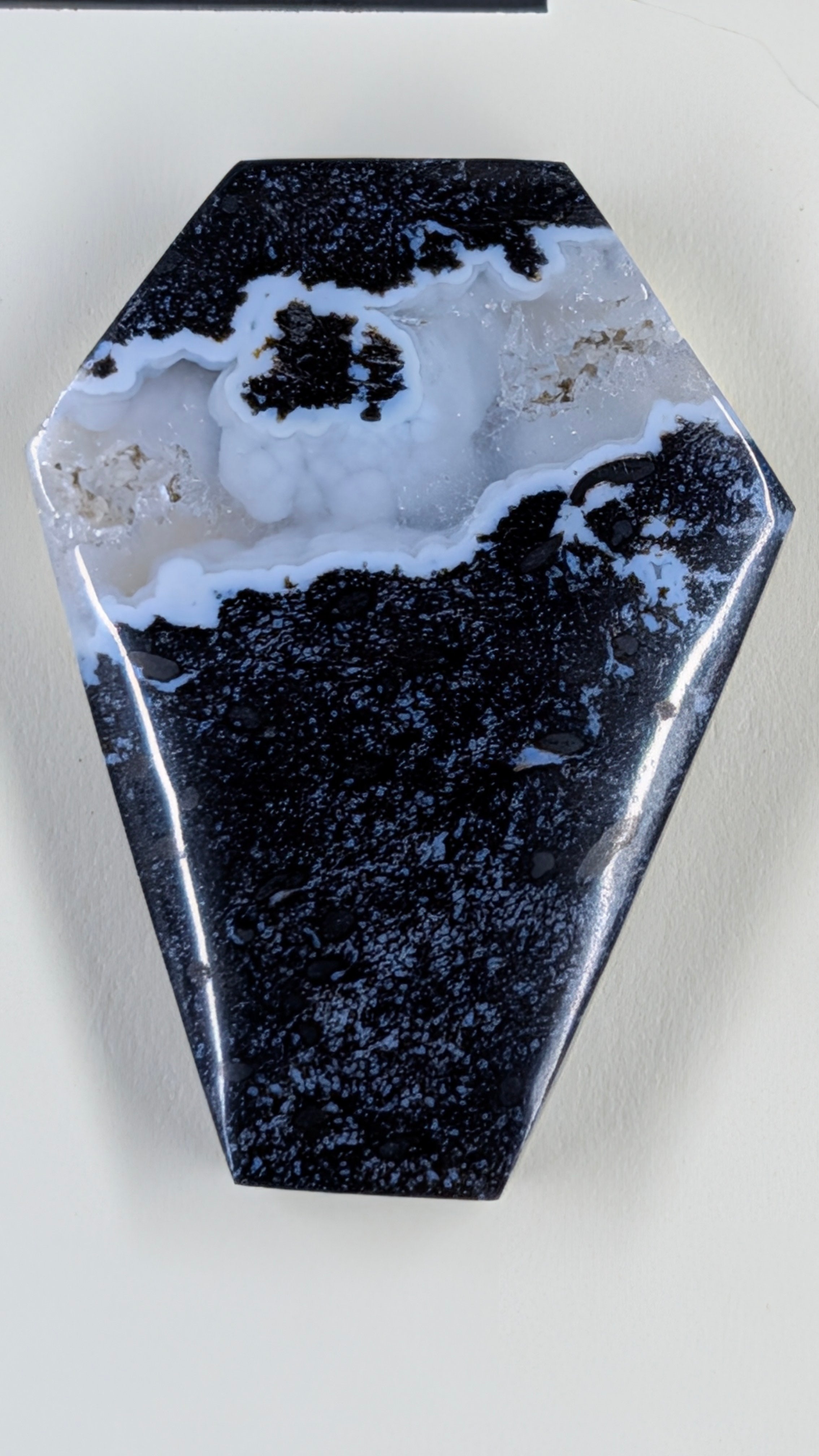 Coffin Shape - Fossilized Palm Root - Design-Ready Set