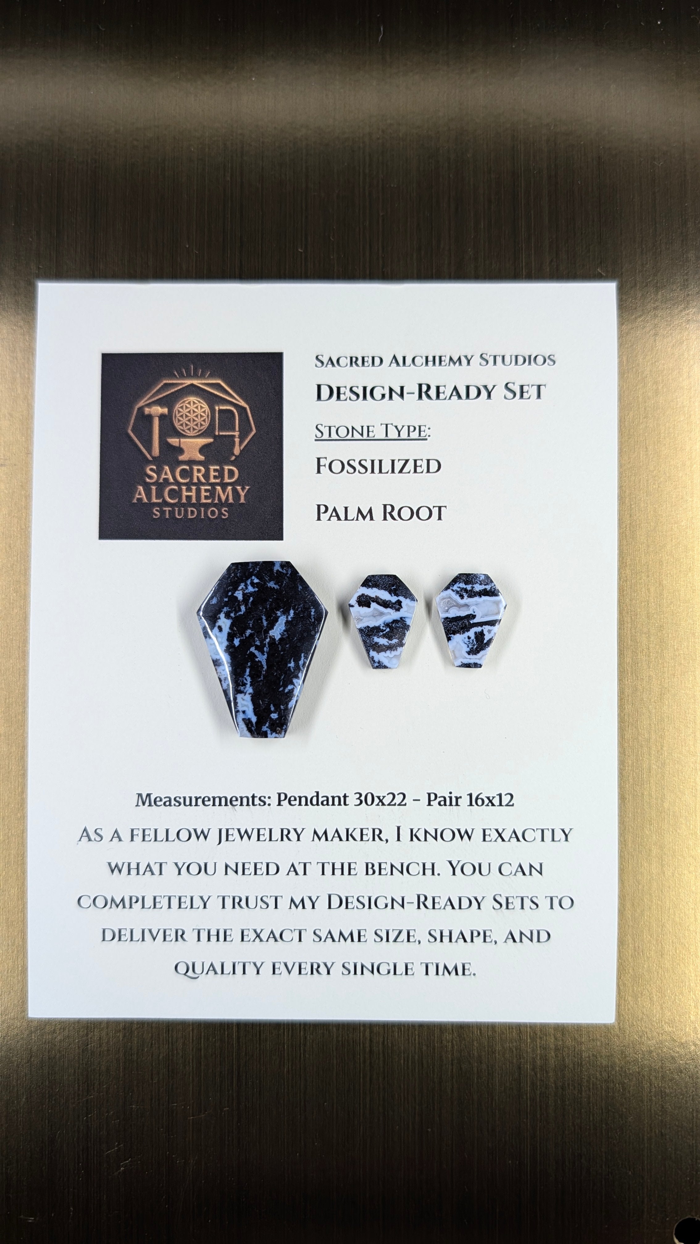 Coffin Shape - Fossilized Palm Root - Design-Ready Set