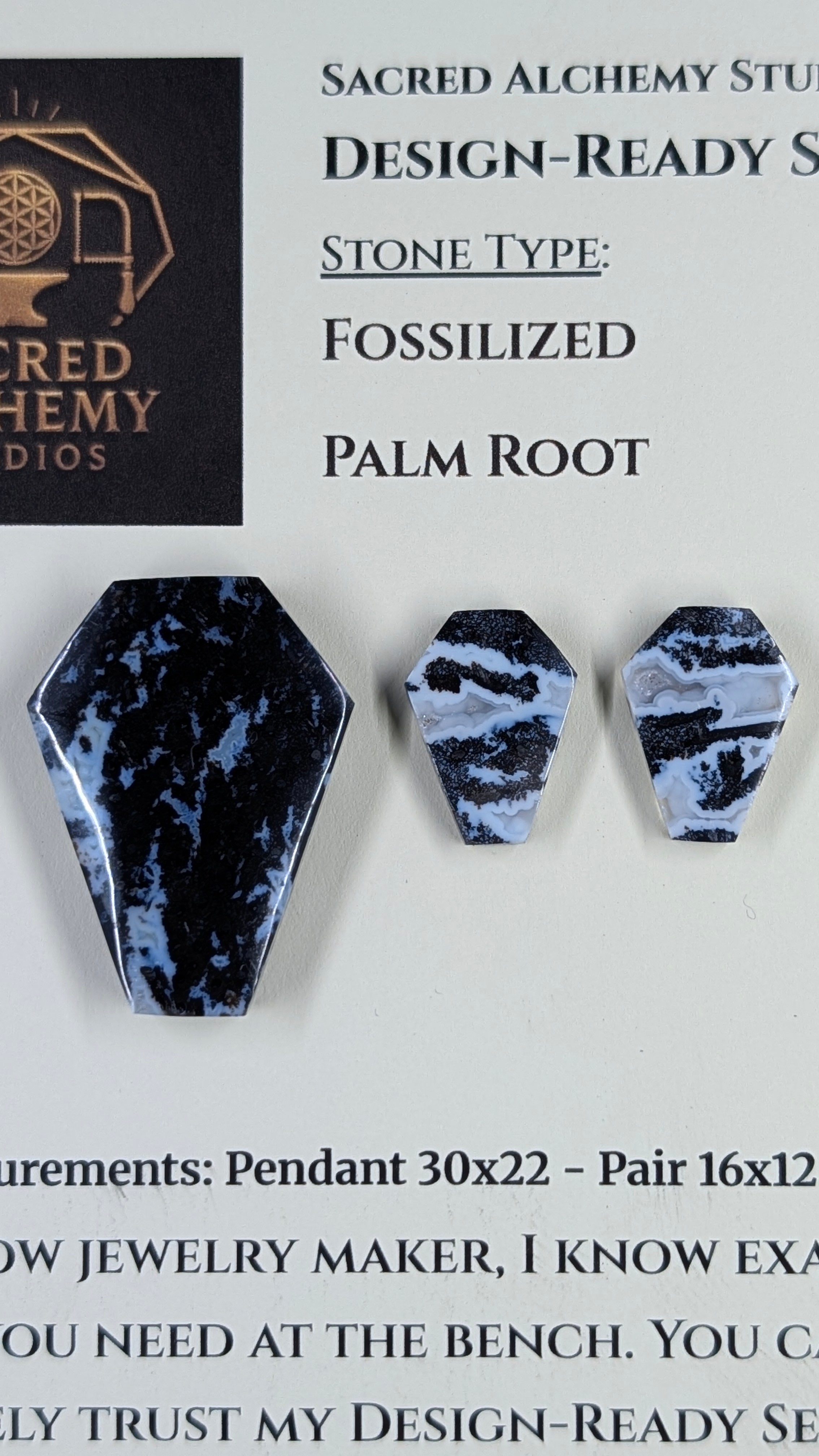 Coffin Shape - Fossilized Palm Root - Design-Ready Set