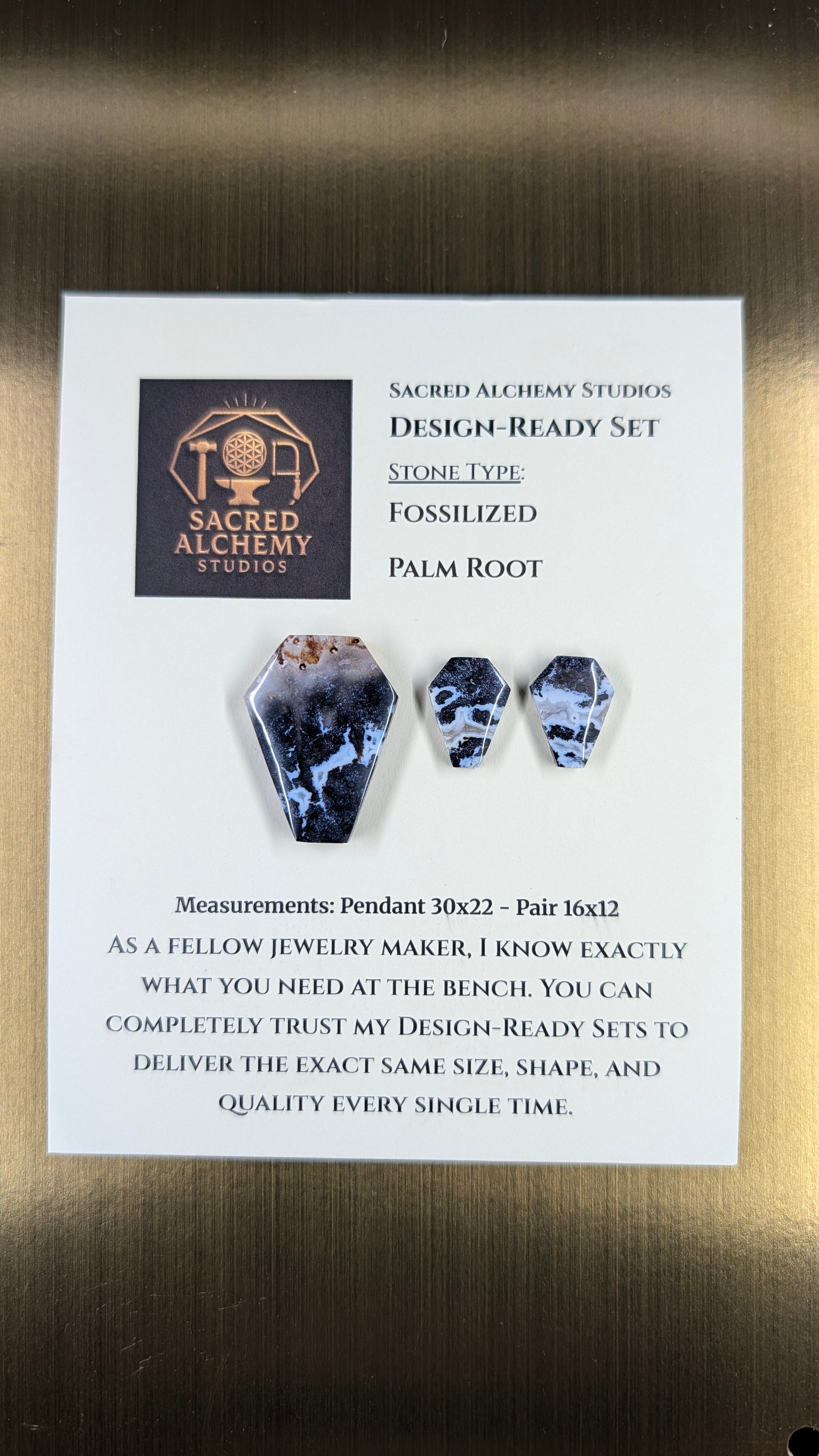 Coffin Shape - Fossilized Palm Root - Design-Ready Set