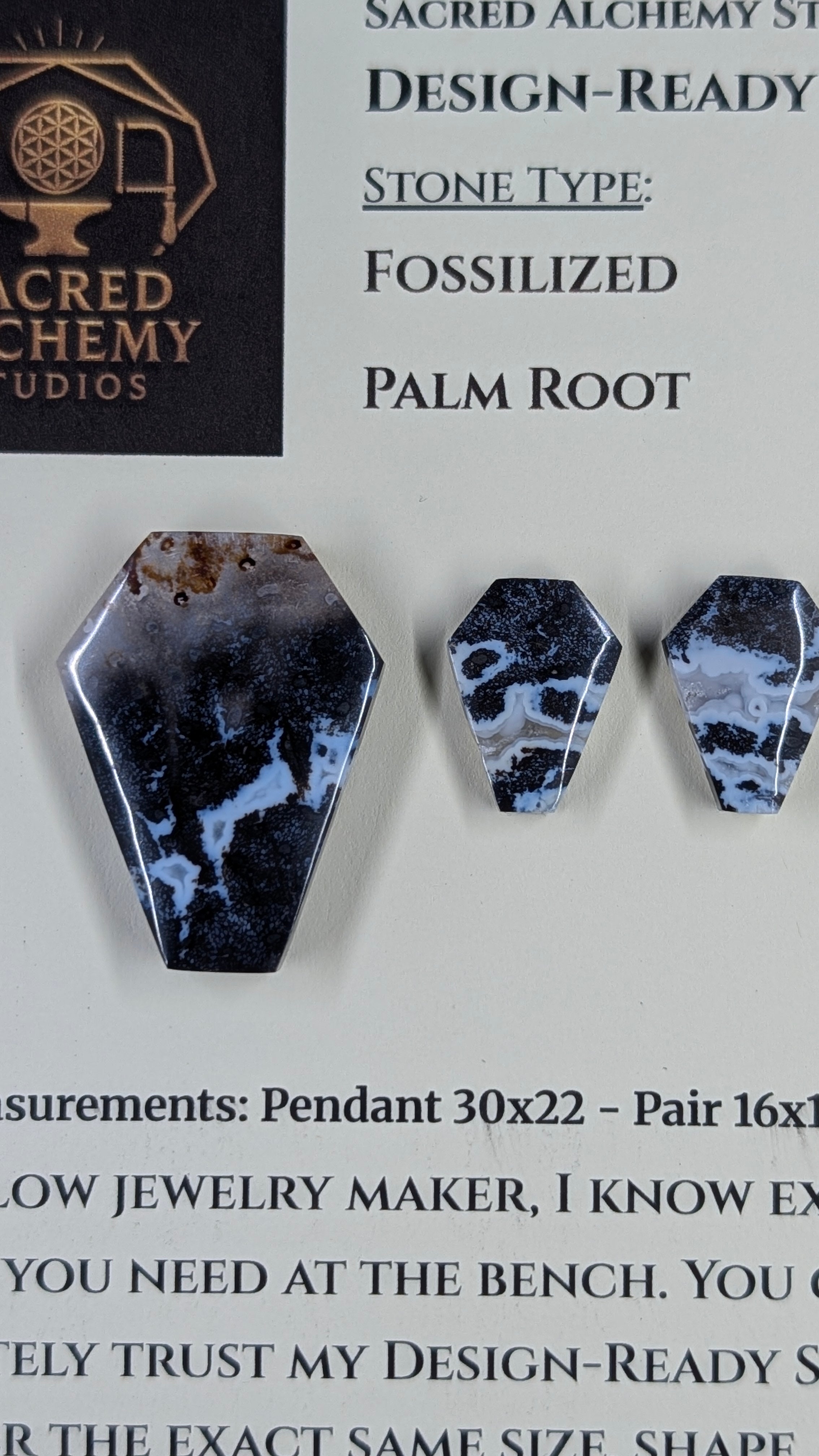Coffin Shape - Fossilized Palm Root - Design-Ready Set