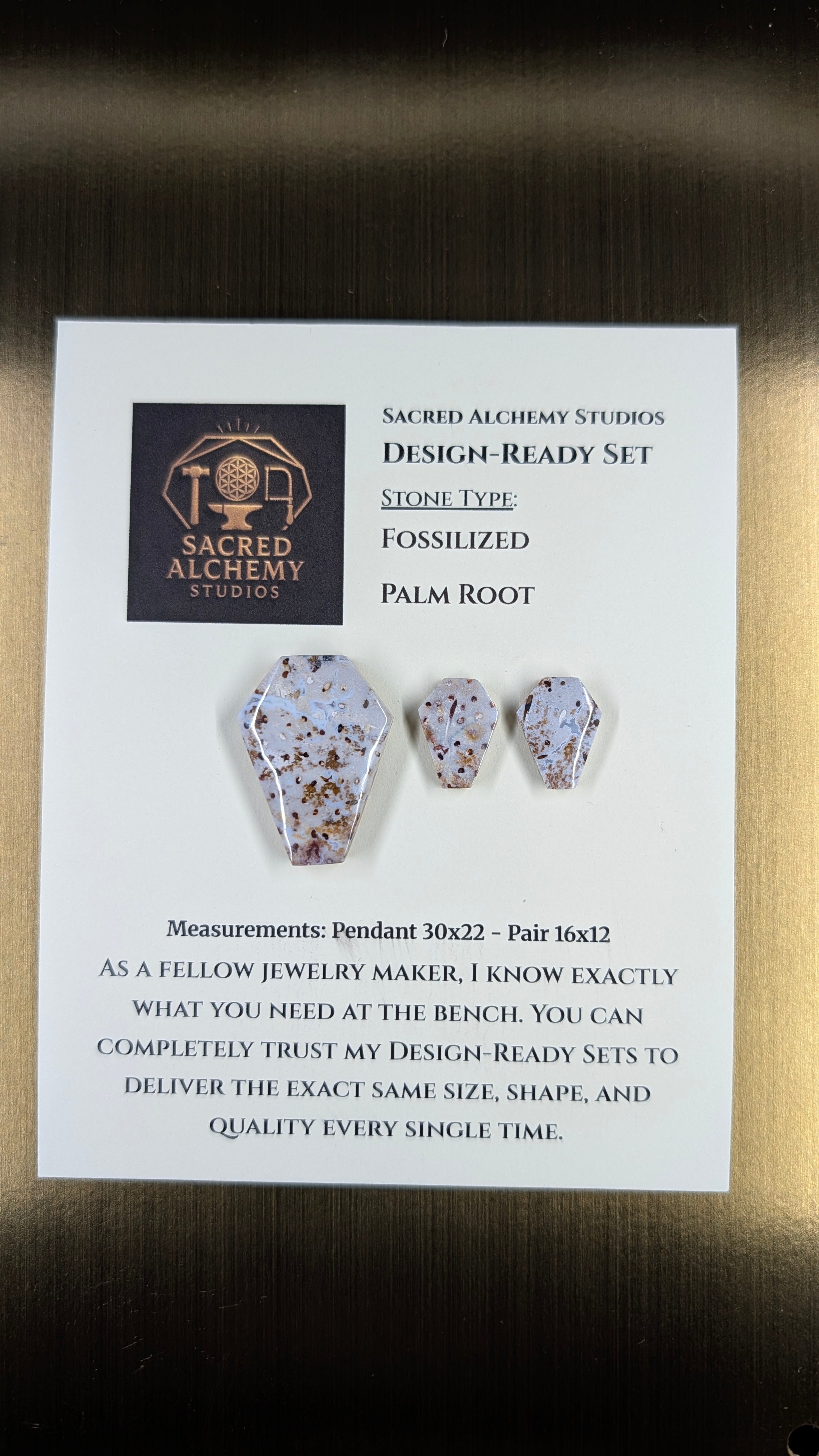 Coffin Shape - Fossilized Palm Root - Design-Ready Set