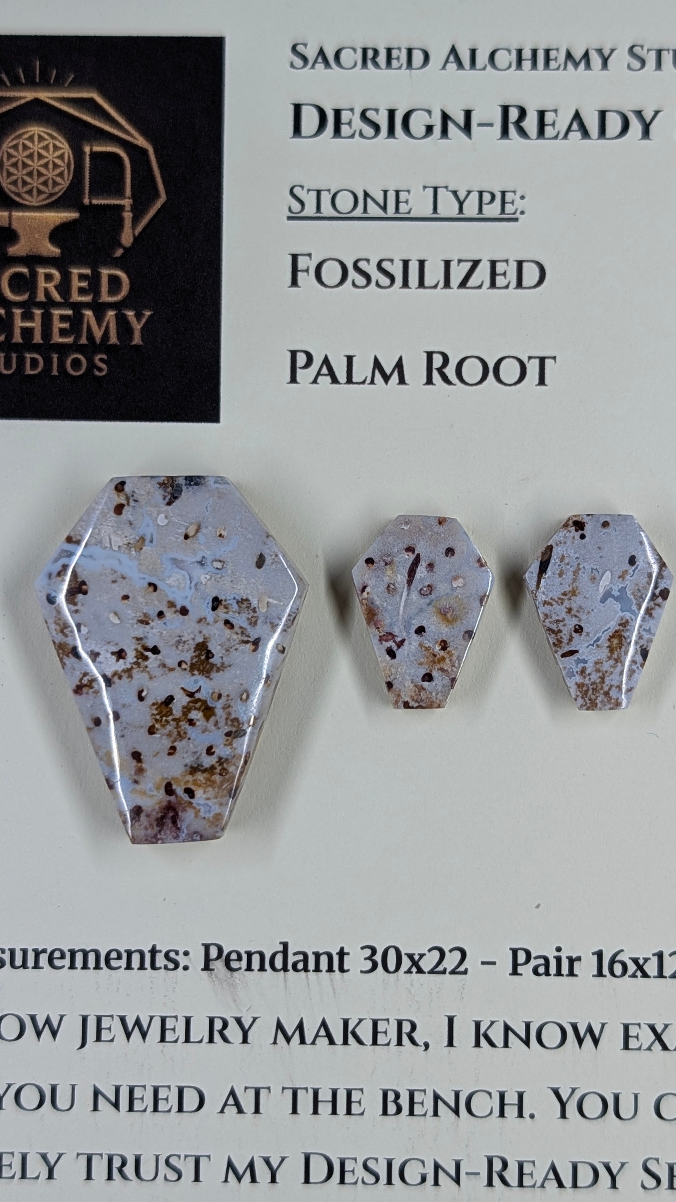Coffin Shape - Fossilized Palm Root - Design-Ready Set